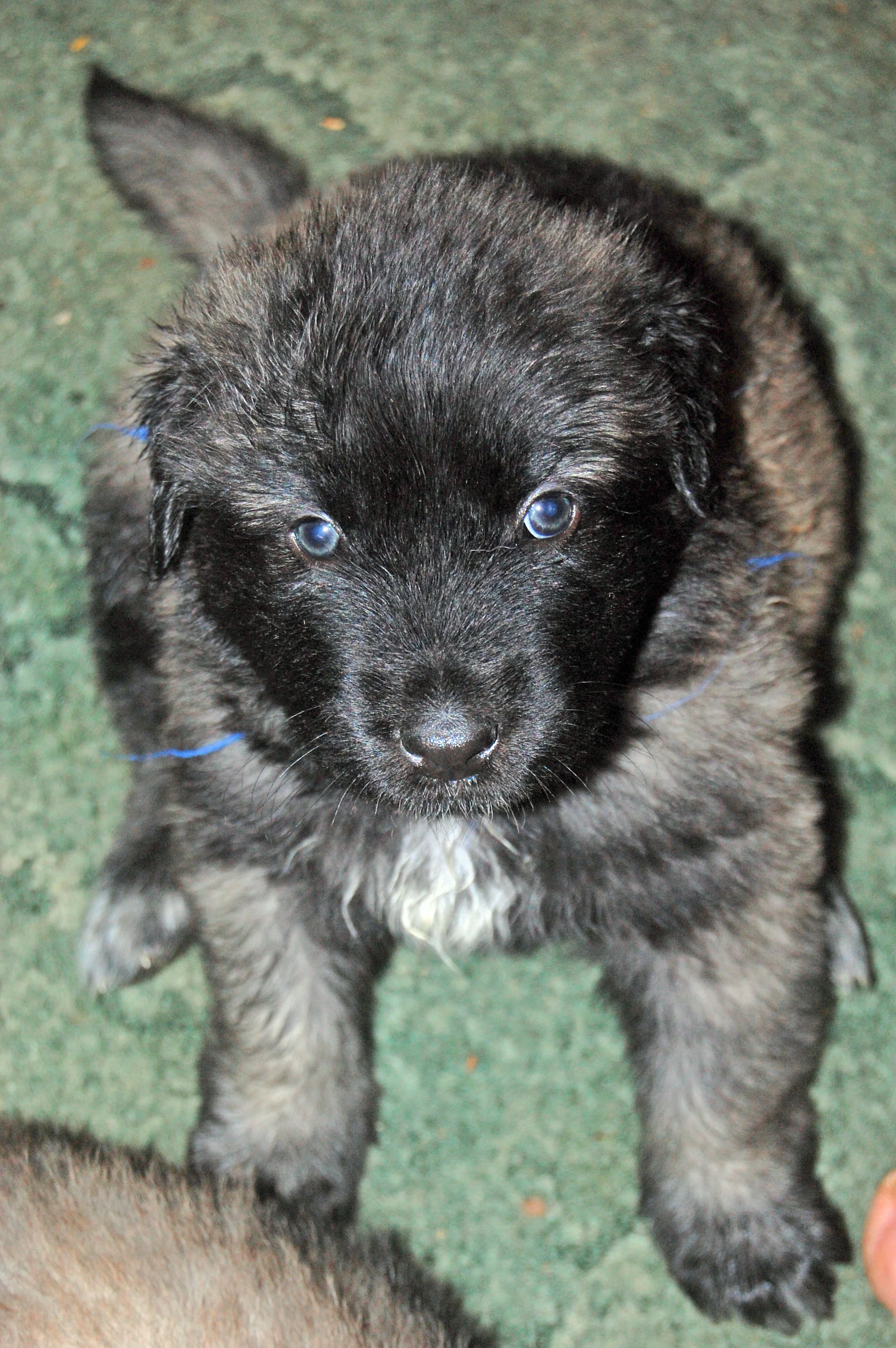 02 13_5500_edited-1.JPG