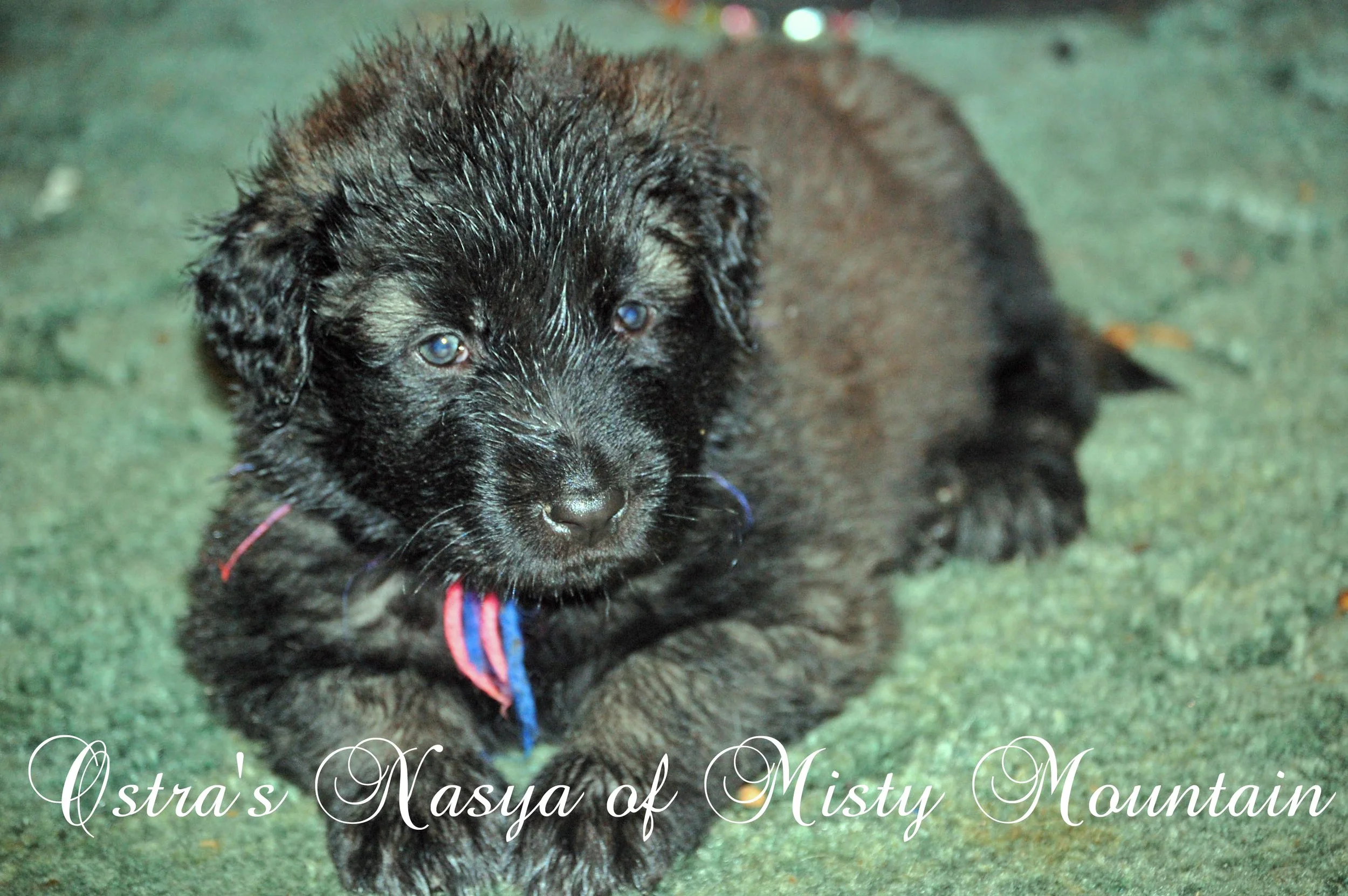 02 18_5678_edited-11 copy.jpg