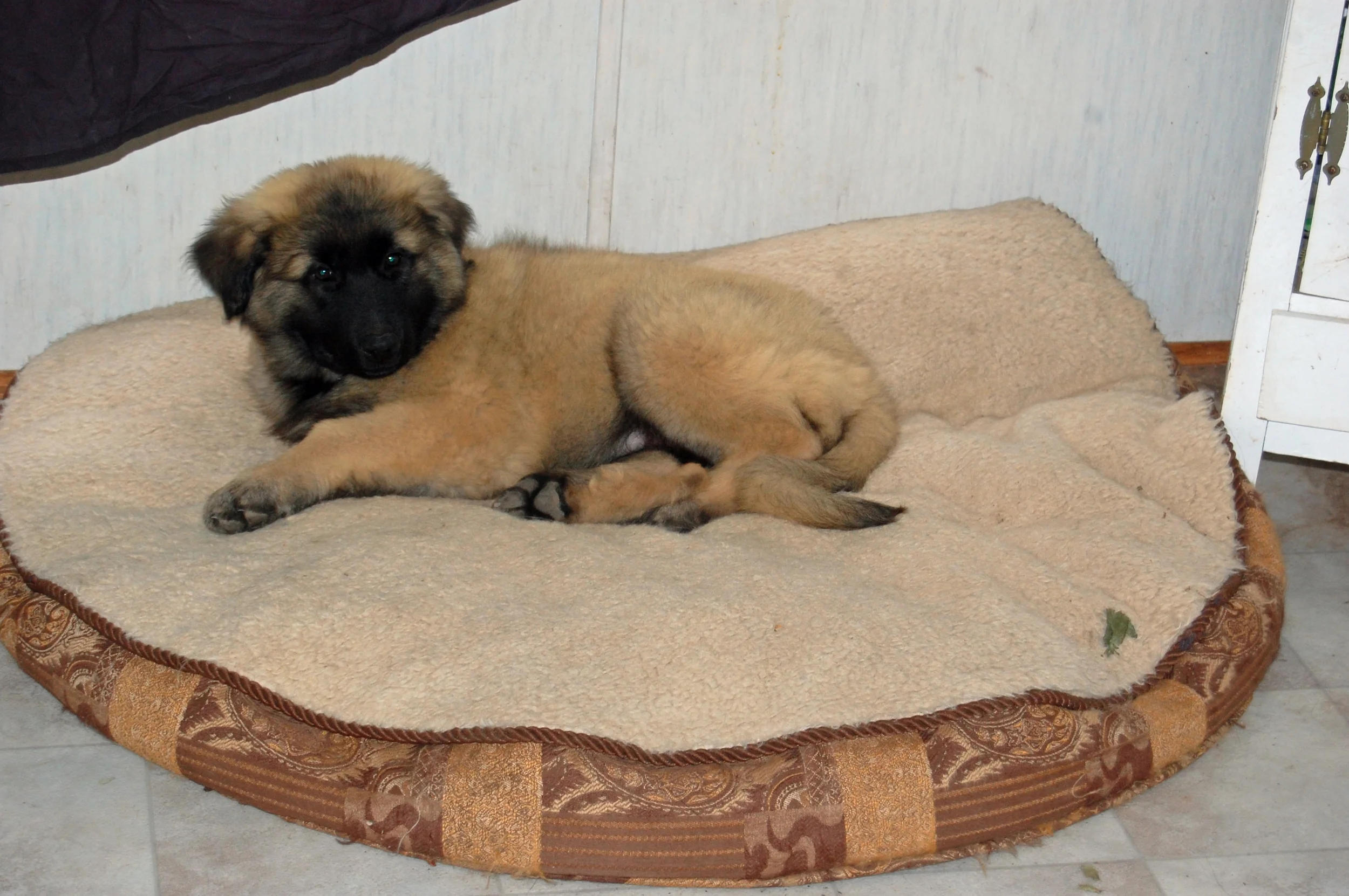 06 26_2326_edited-1.JPG