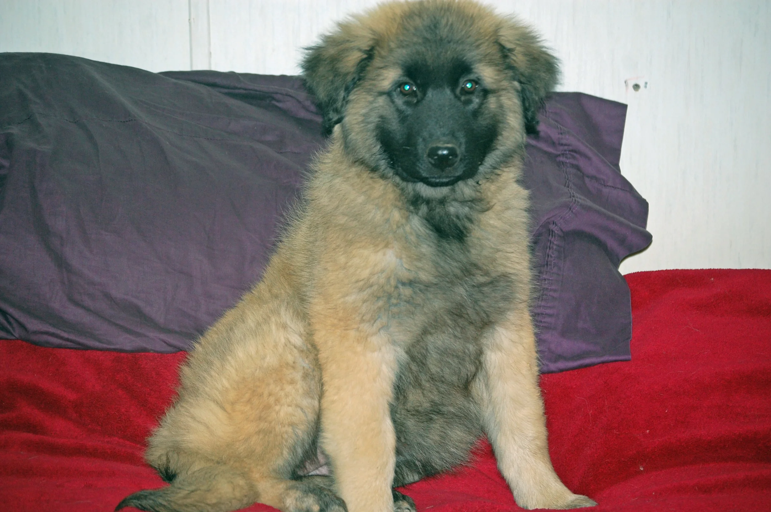 06 27_2317_edited-1.JPG