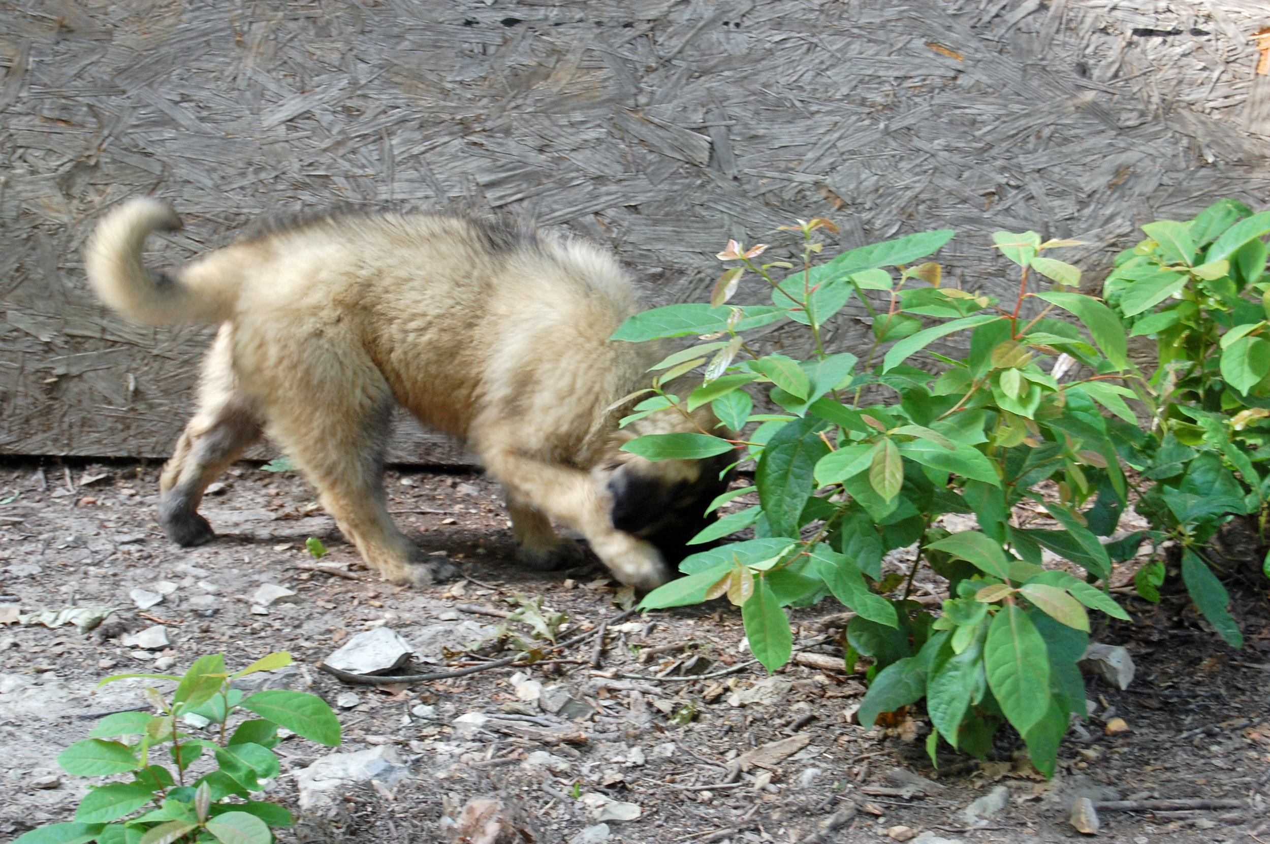 06 17_Day 1_1858_edited-1.JPG