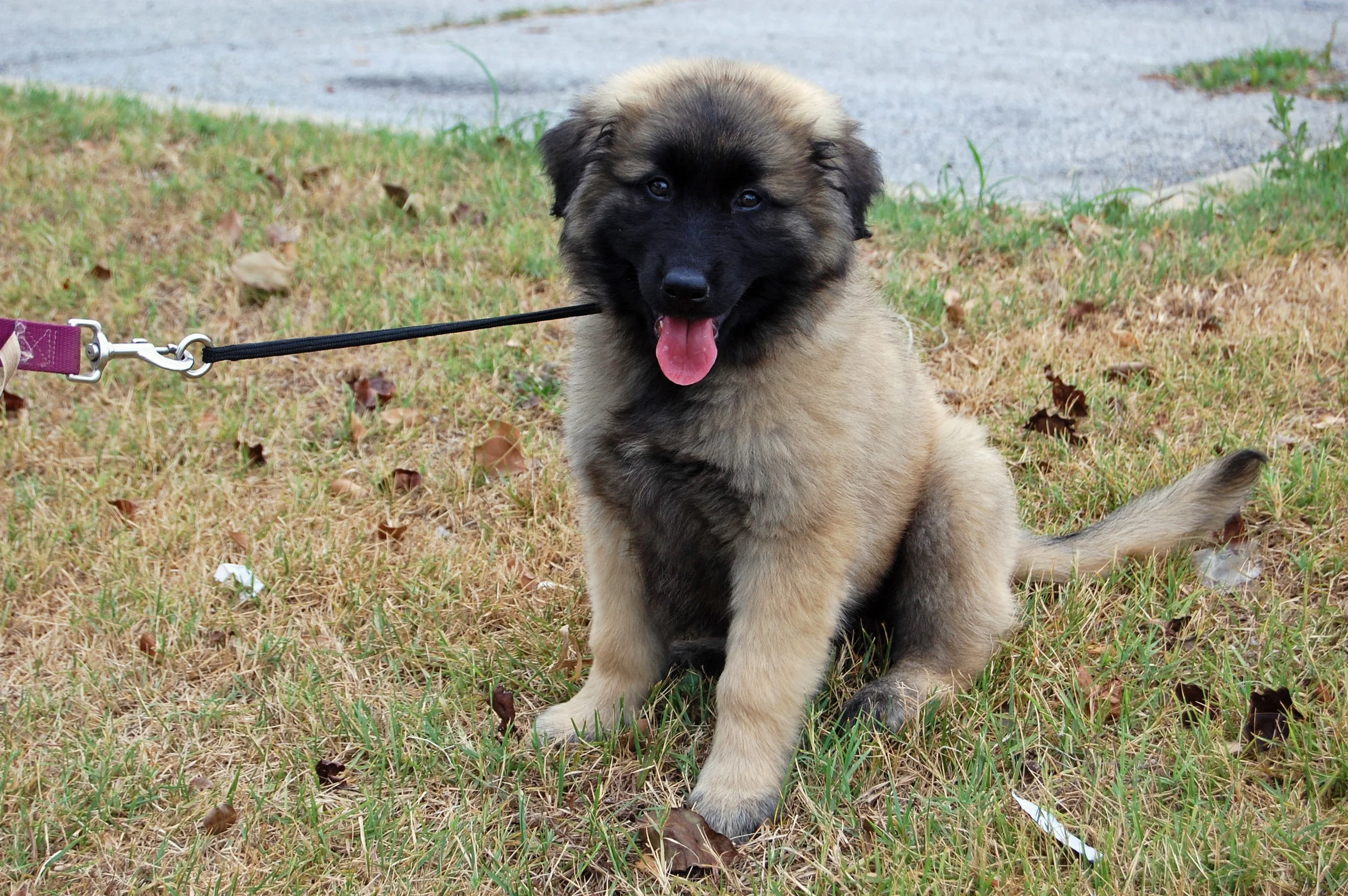 06 17_First Day_1802_edited-1.JPG