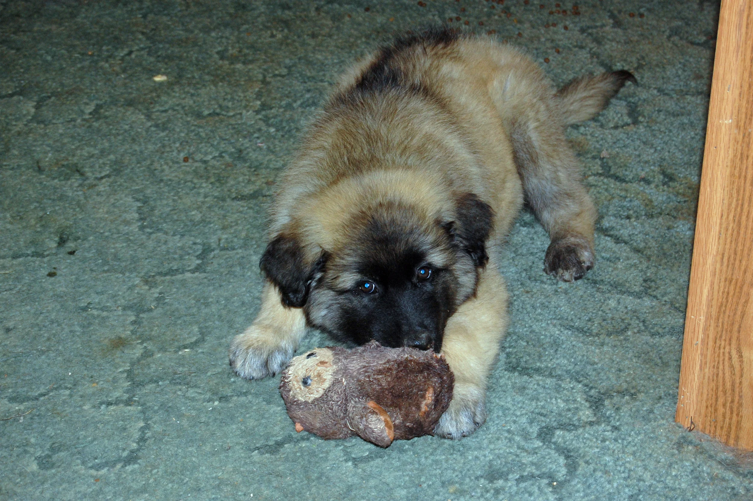 06 17_First Day_1823_edited-1.JPG