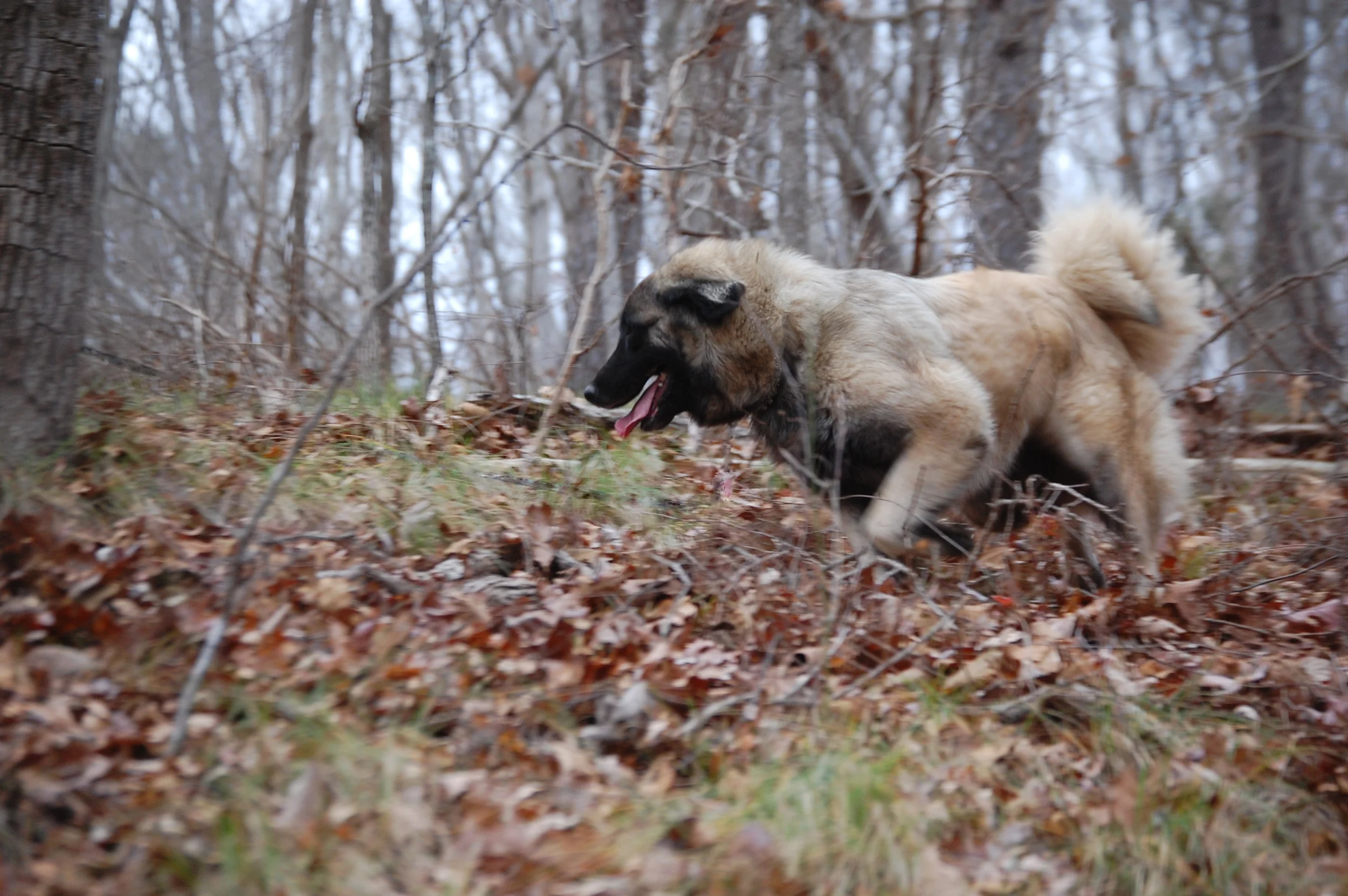 DSC_0128_edited- v1.jpg