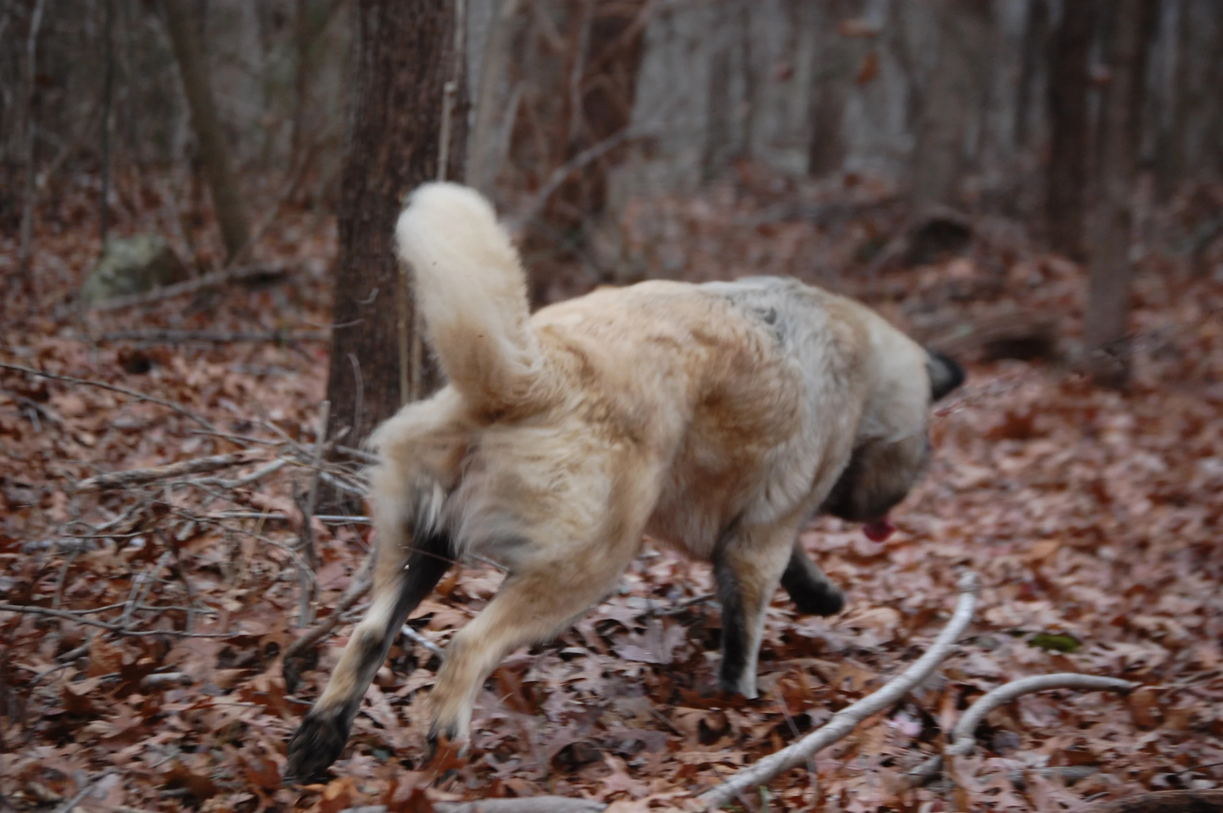 DSC_0132_edited-1  x.jpg