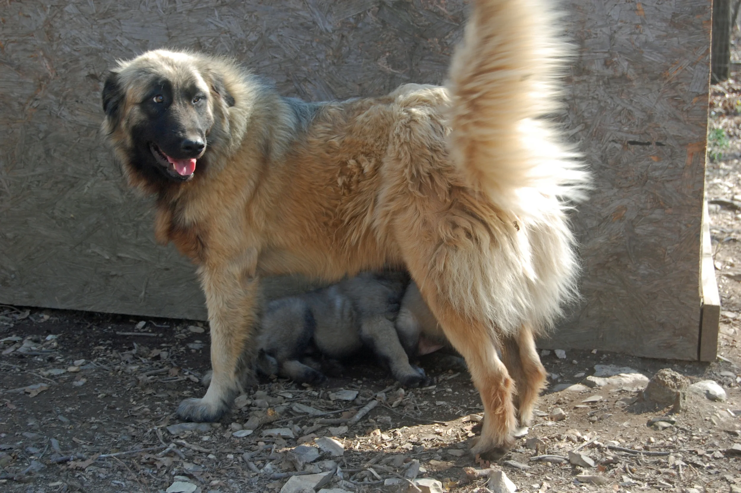 03 16_6678_edited-1.JPG