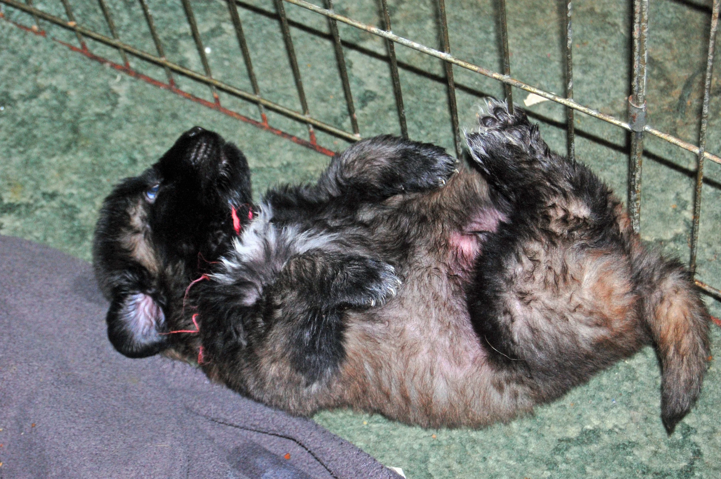 02 13_5530_edited-1.JPG