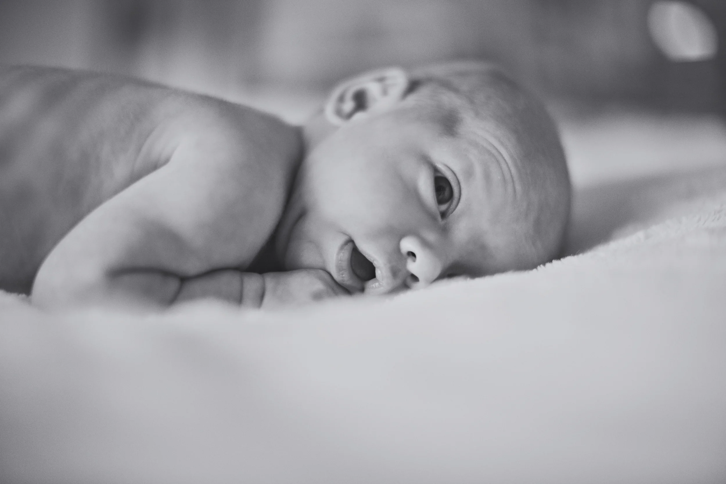 140215_twins_0181_1.jpg