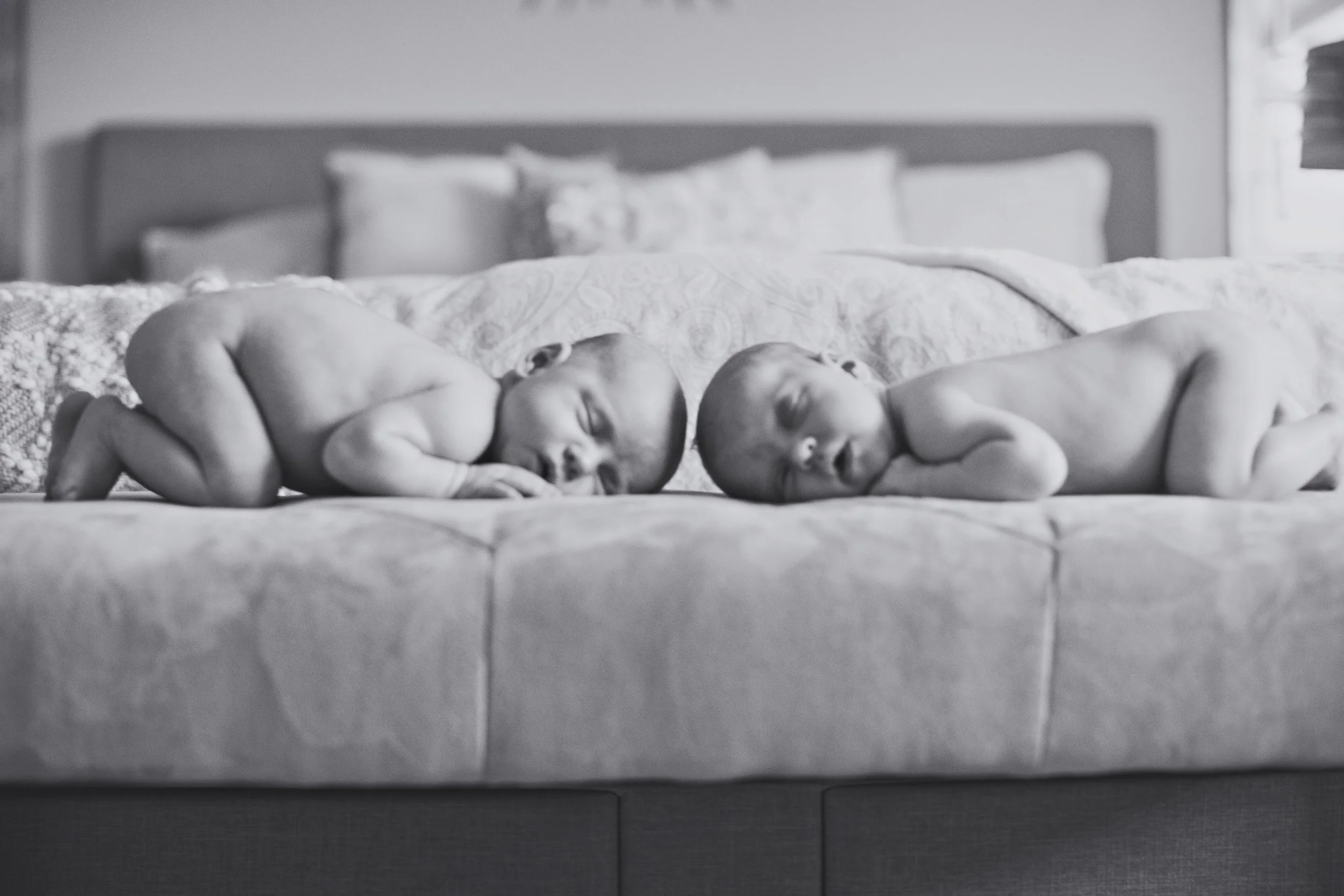 140215_twins_0353_1.jpg