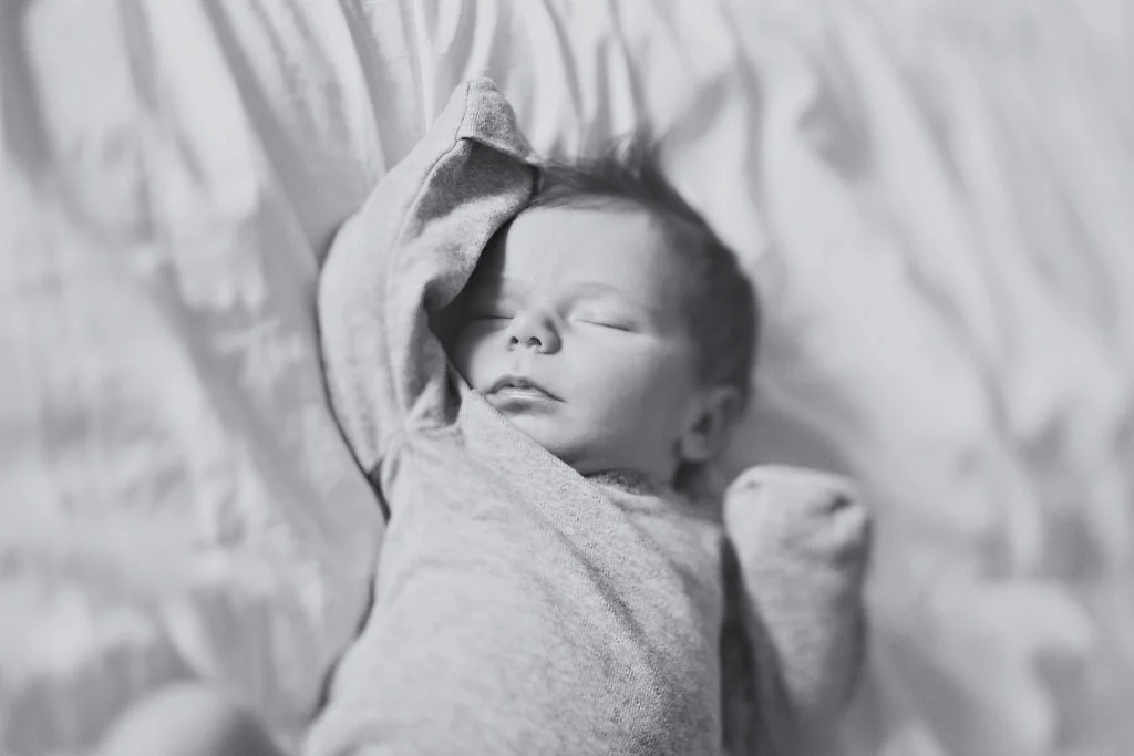ellie02061423w.jpg