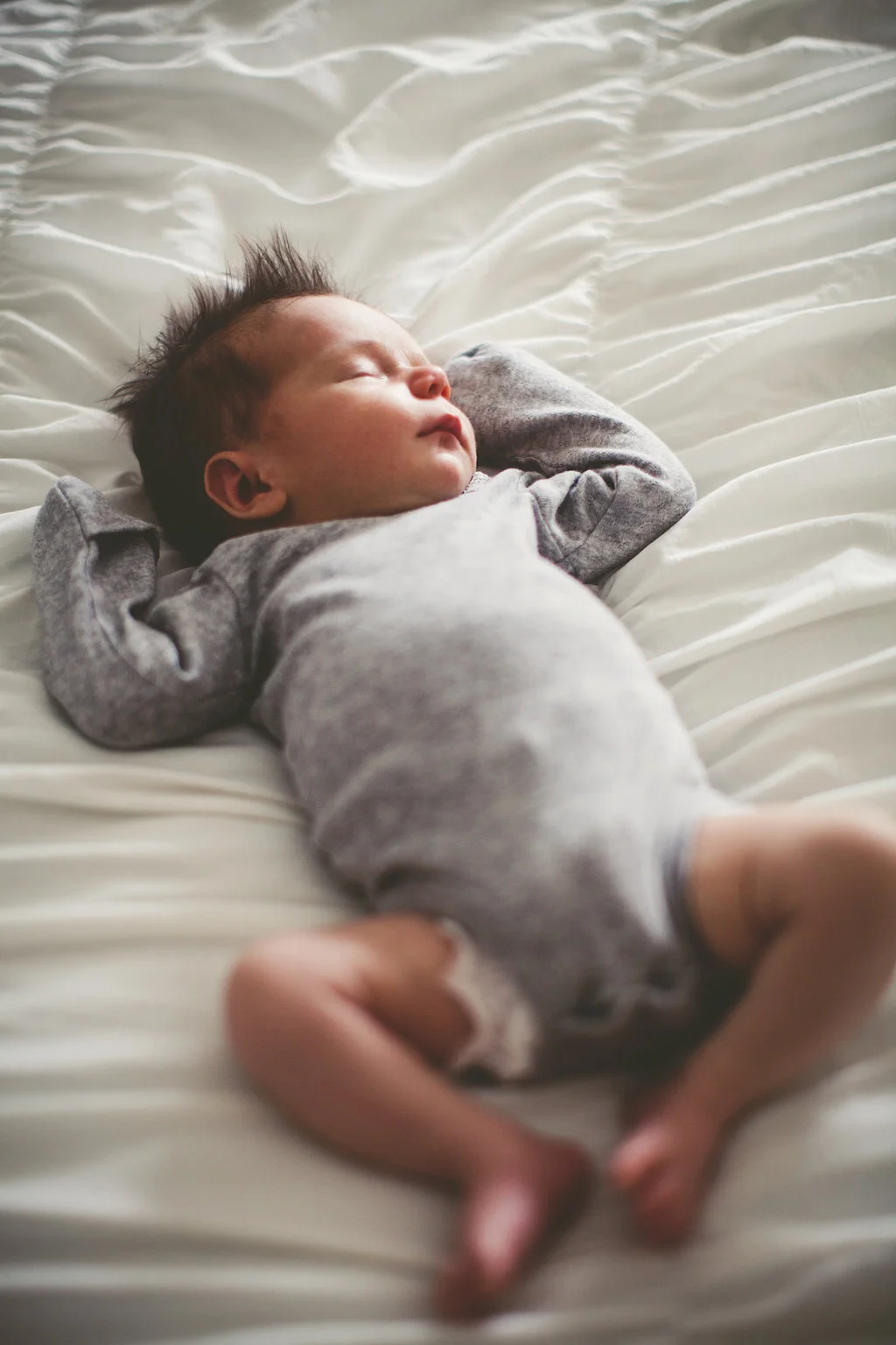 ellie020614217a.jpg