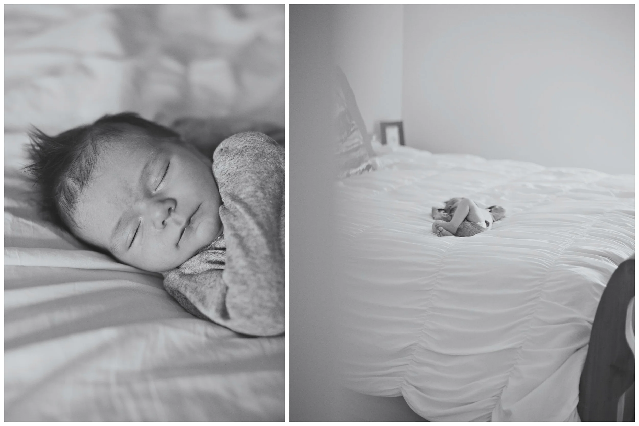 PicMonkey Collage.jpg