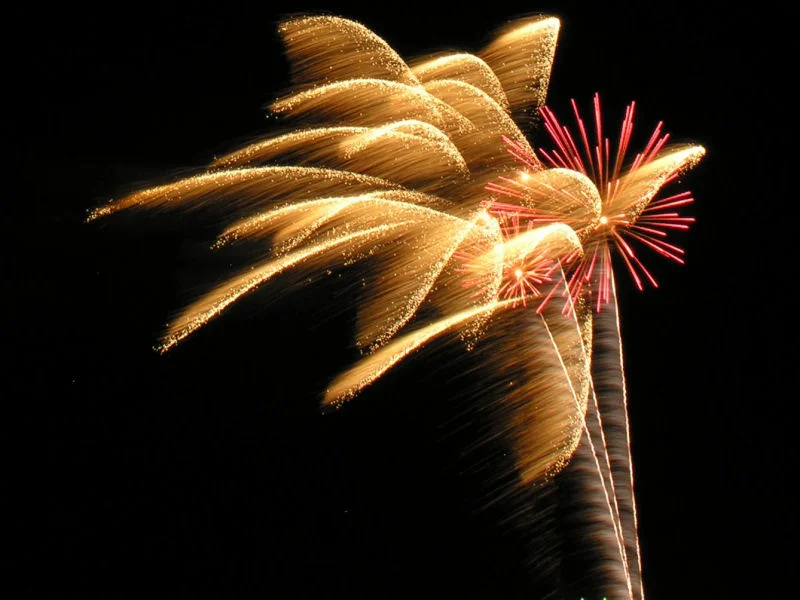 Cadle Creek 2010