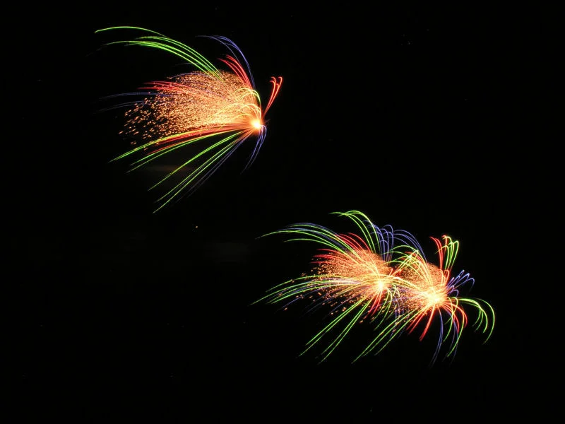 Cadle Creek 2010