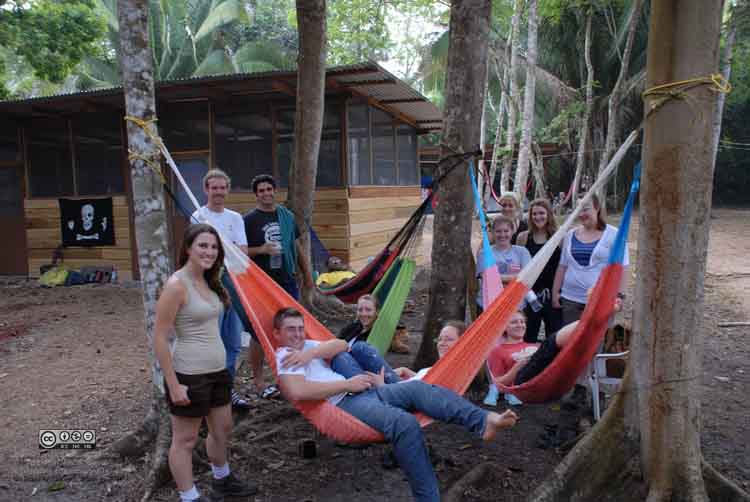 CC Camp hammocks.jpg