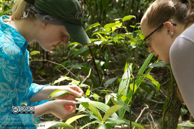 CC Jax and Danielle identifying plants.jpg