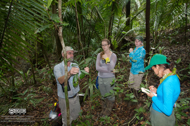 CC Nick lecturing on plants.jpg