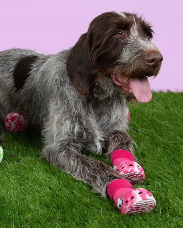 Screenshot 2024-10-09 at 10.02.08 AM.png