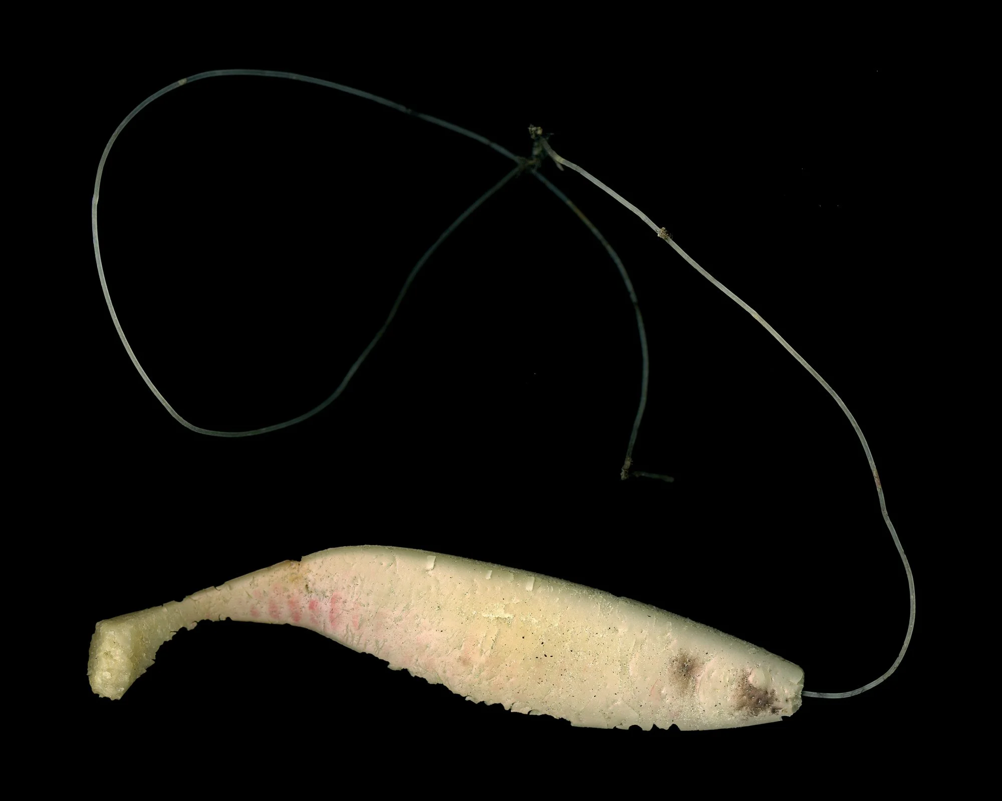 Swim Shad with Clear Monofilament