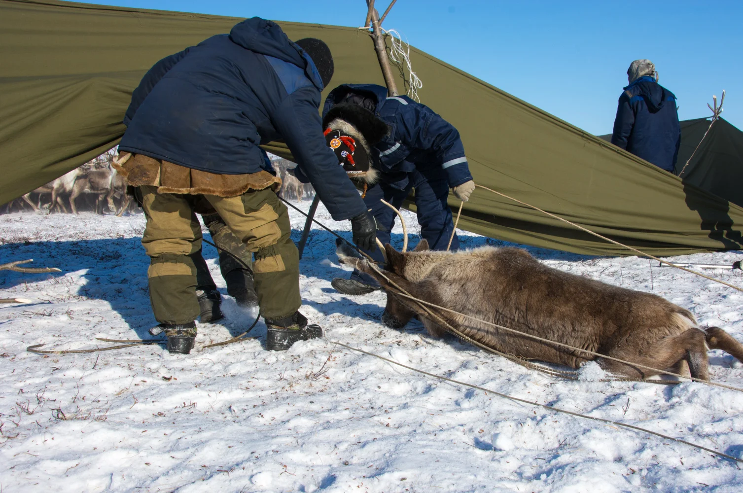 Kamchatka Tchouktches-98.jpg