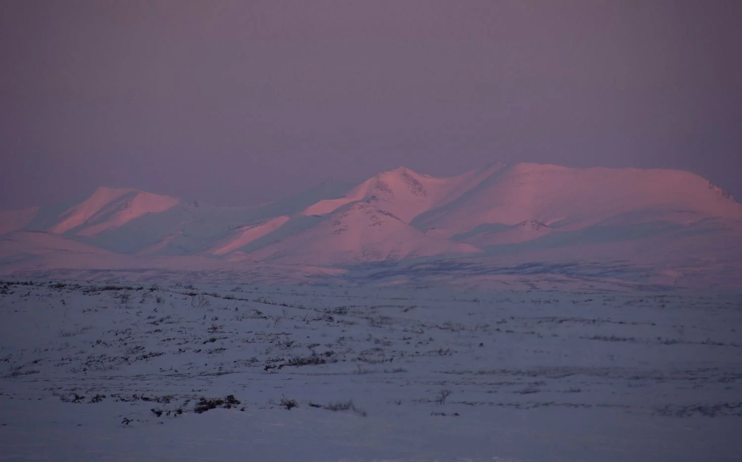 Toundra Kamchatka 1.jpg