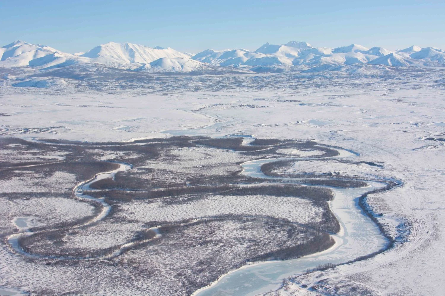 Toundra Kamchatka 3.jpg