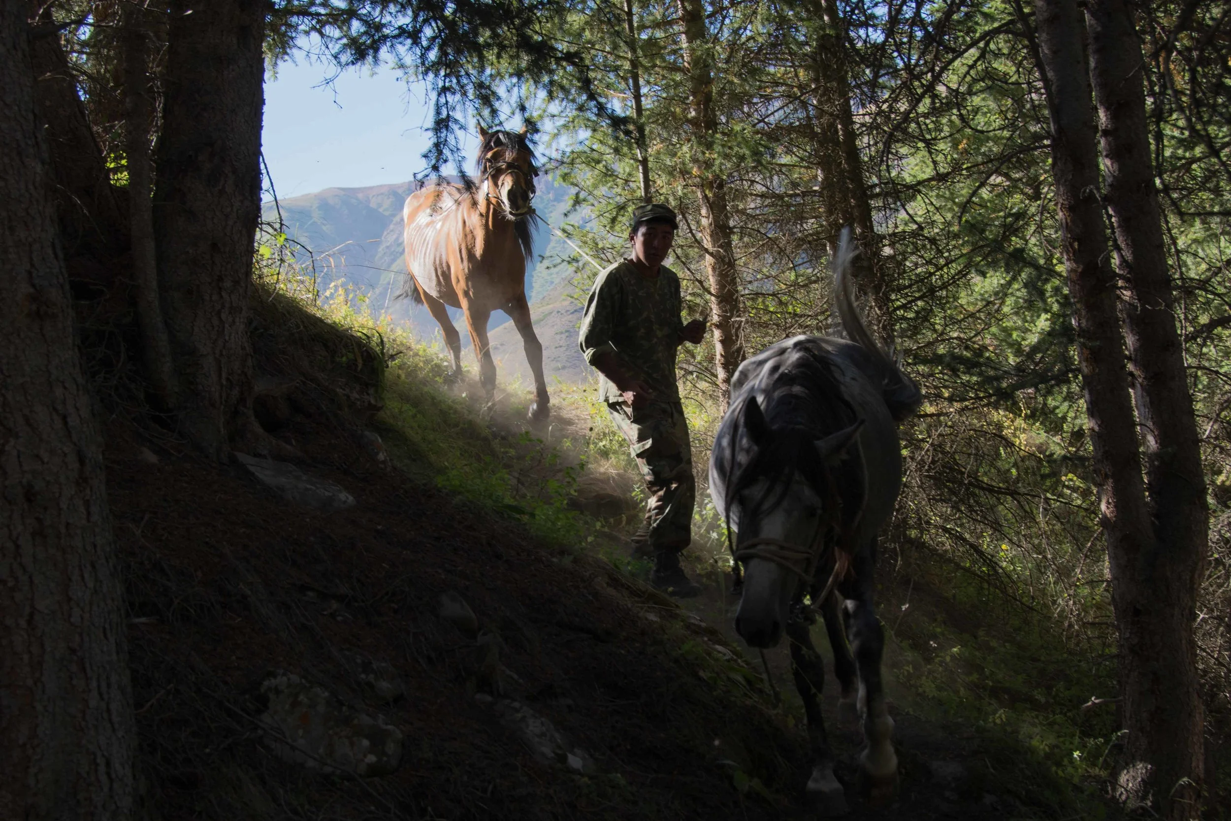 Les gardes de Naryn / The rangers of Naryn