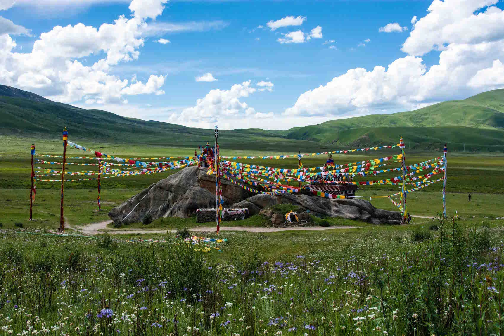 BE16_Tibet oriental-40.jpg