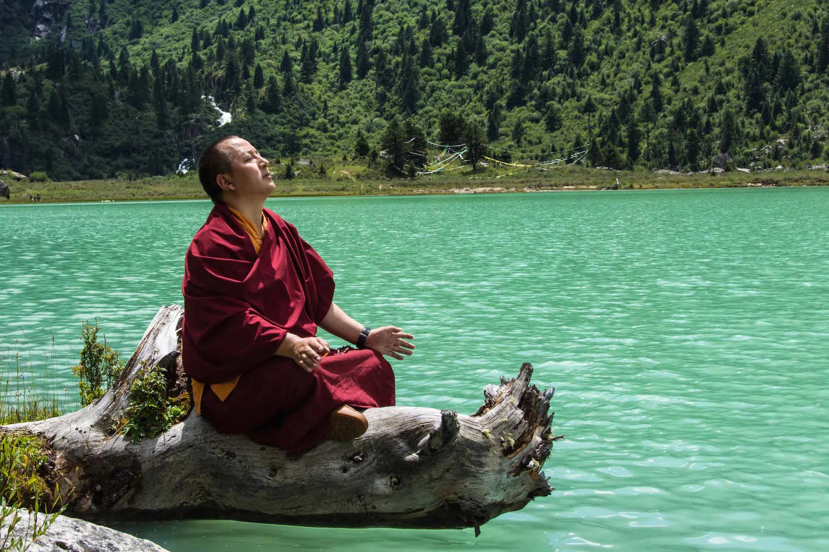 BE16_Tibet oriental-56.jpg