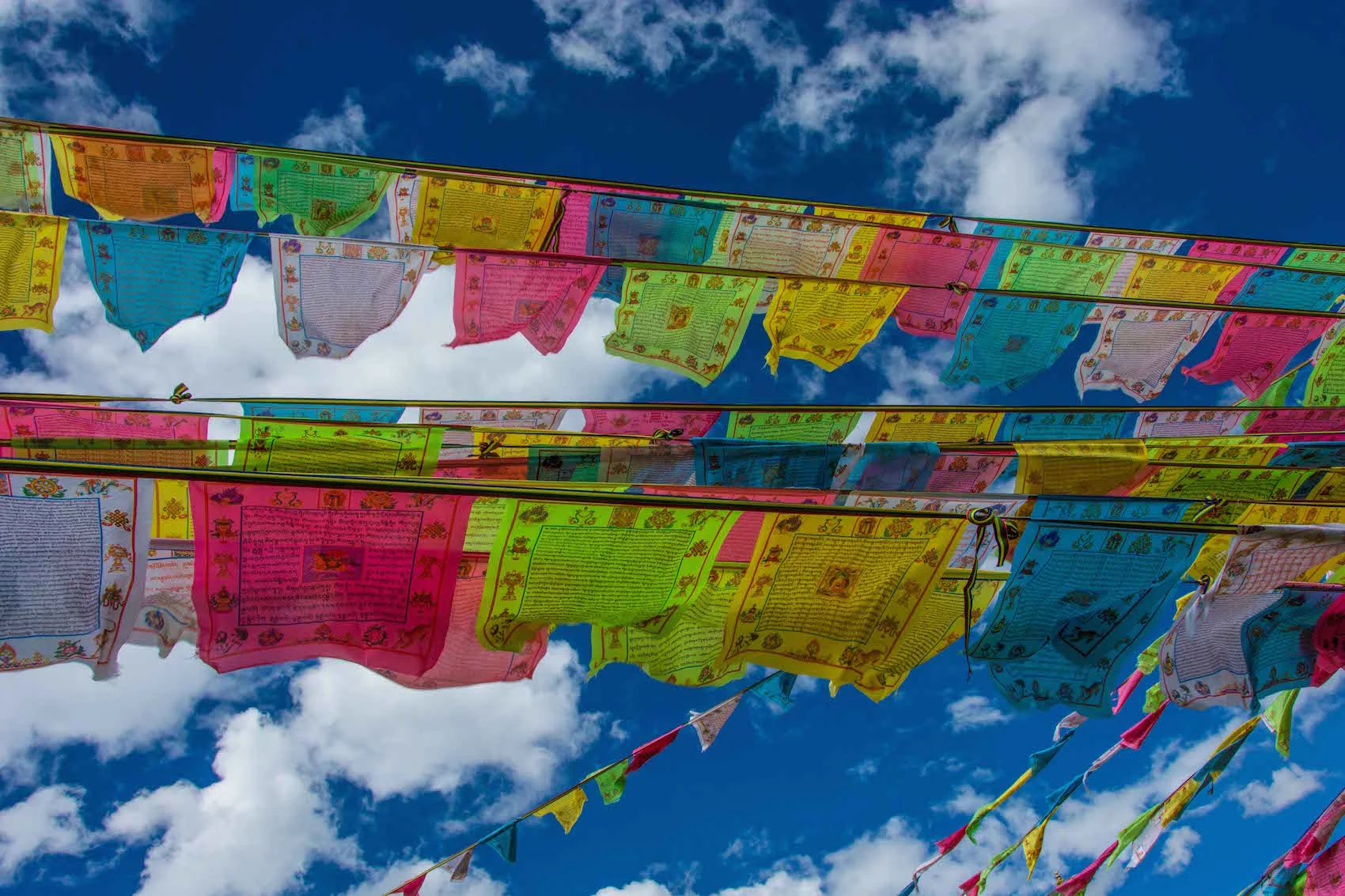 BE16_Tibet oriental-58.jpg