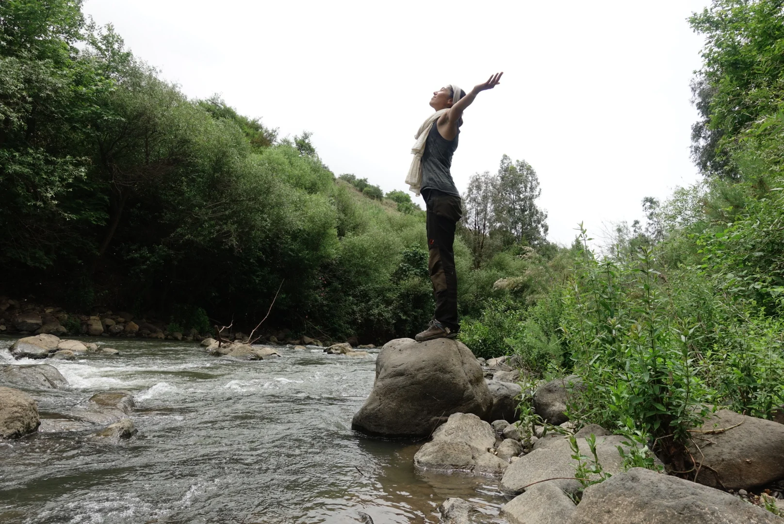 Israël vu de l’intérieur 