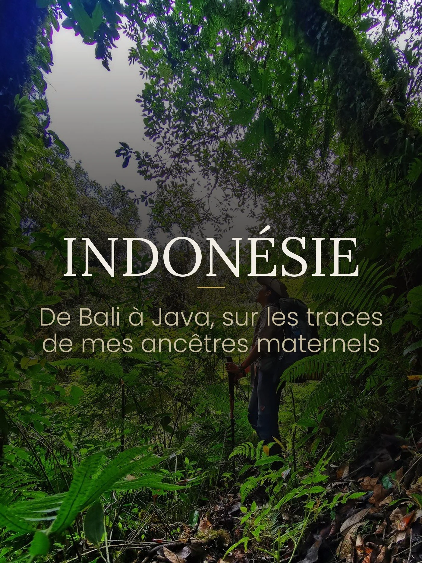 indonesie.jpg
