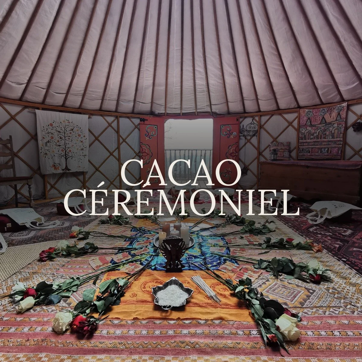 cacao.jpg