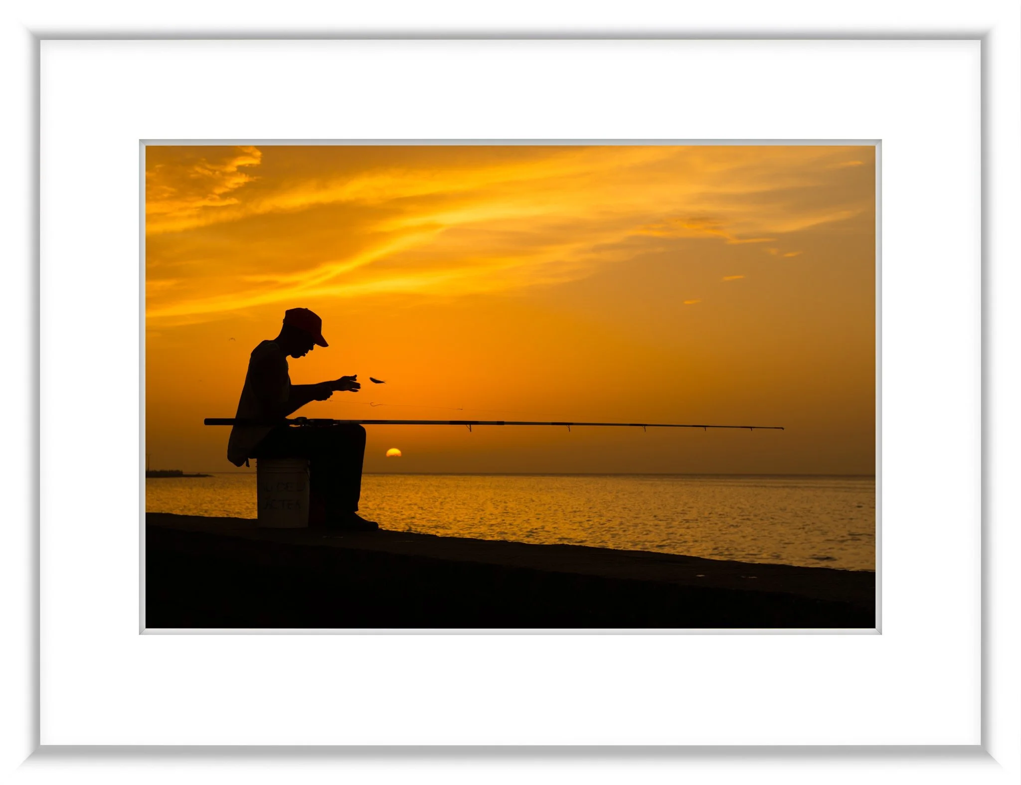 MSC-D800-Havana-JUN2015-7273-2.jpg