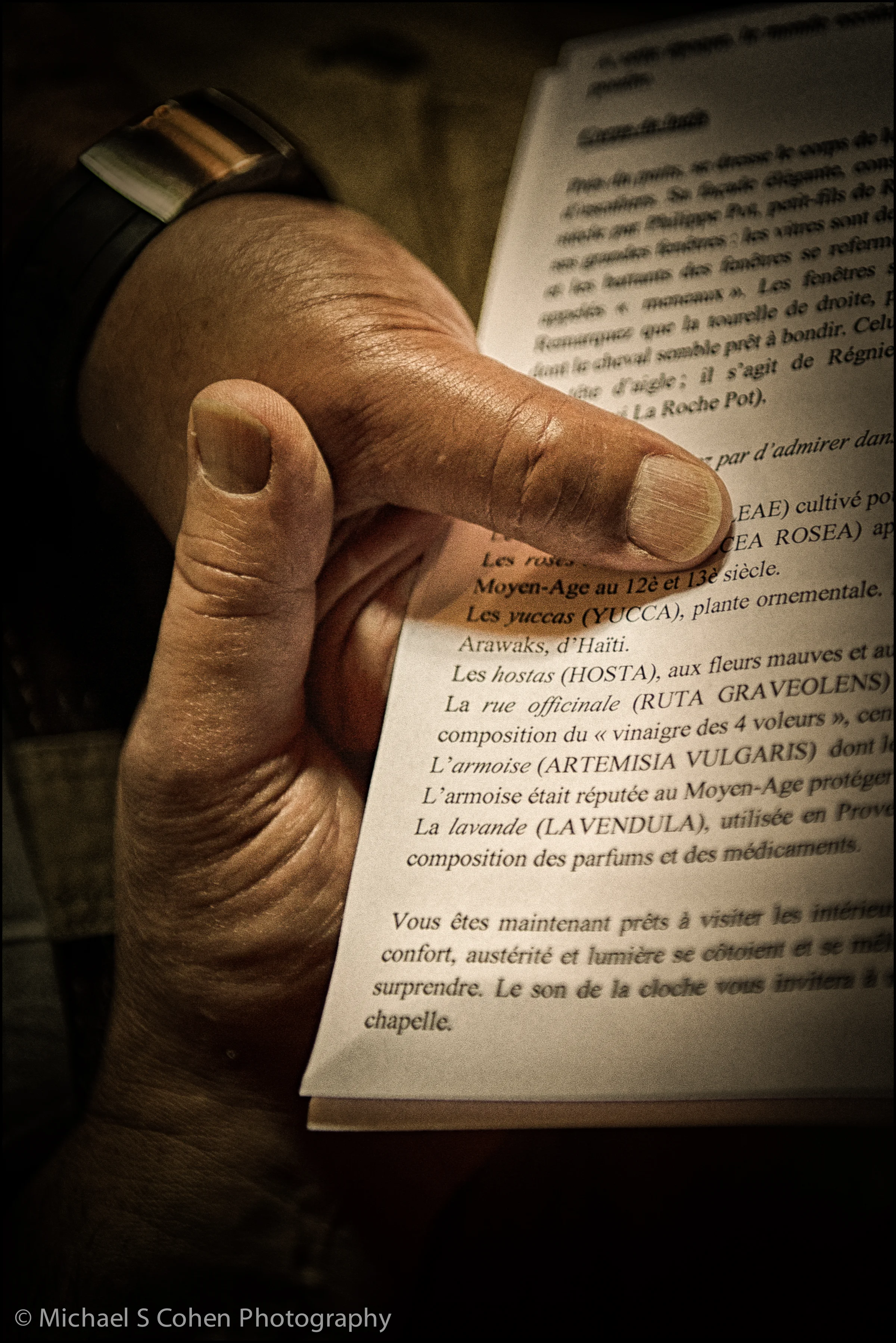 Hand and Book.jpg