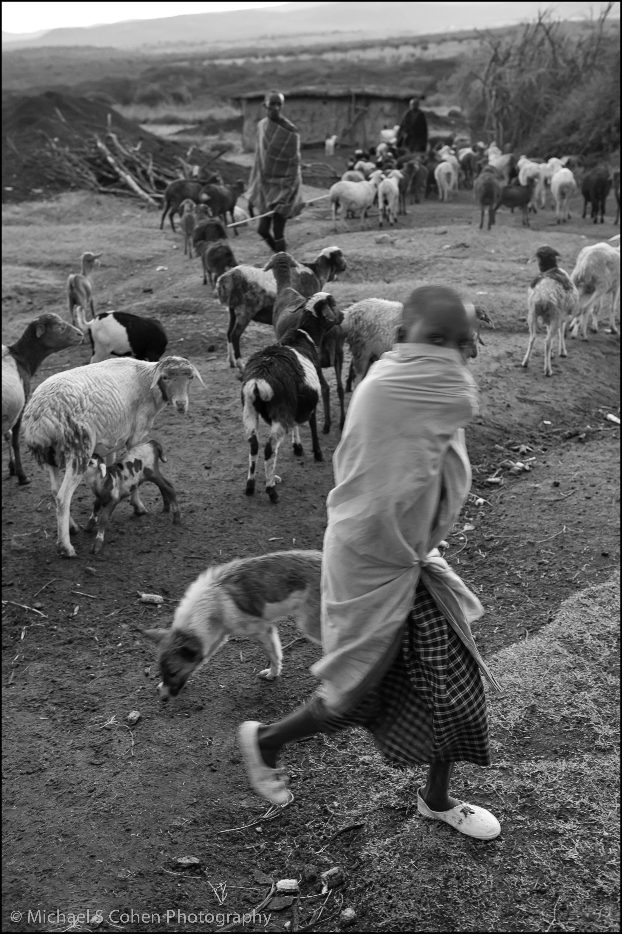 Masai Boy Running.jpg