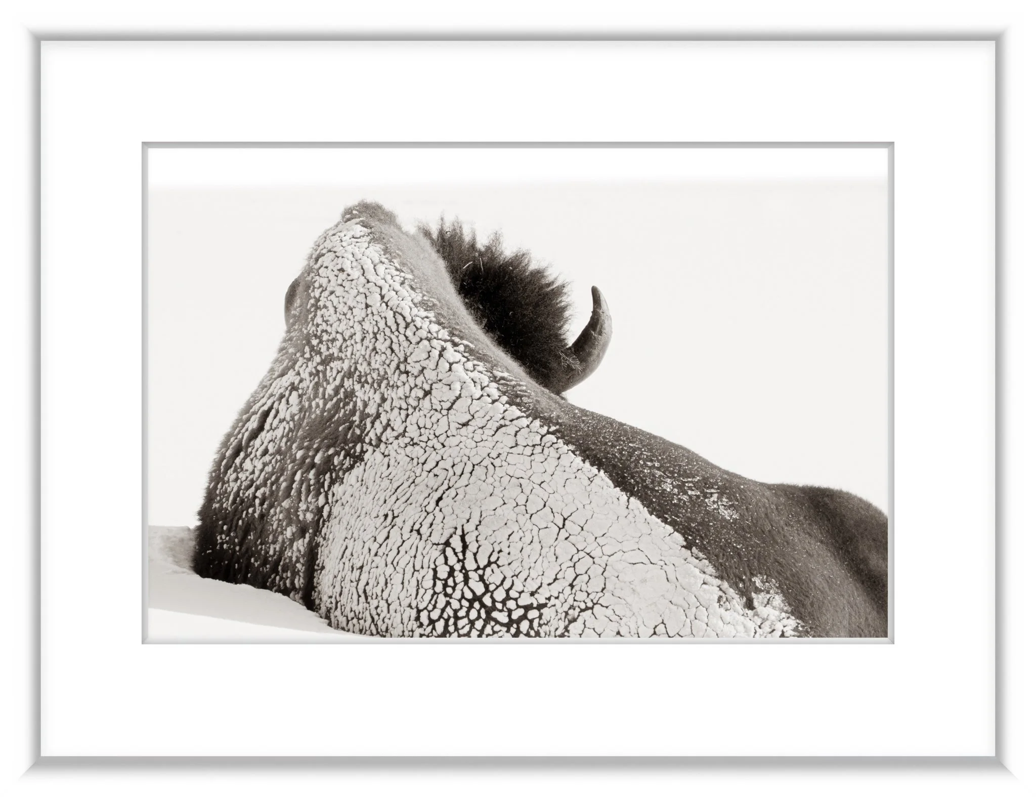 MSC-D850-YNP-Jan2022-7483-Edit-Edit-2.jpg
