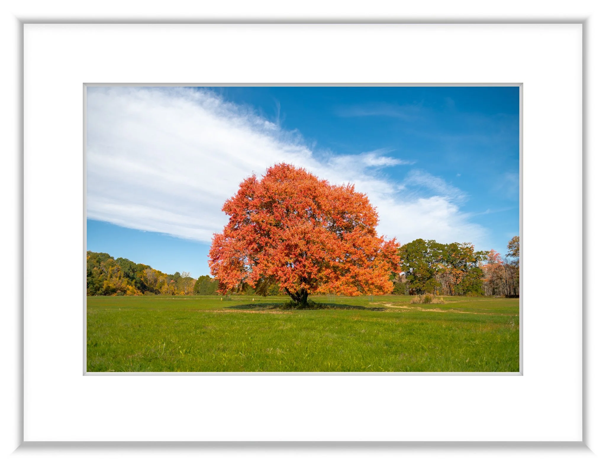 MSC-D850-HudsonNY-Oct22-8415.jpg