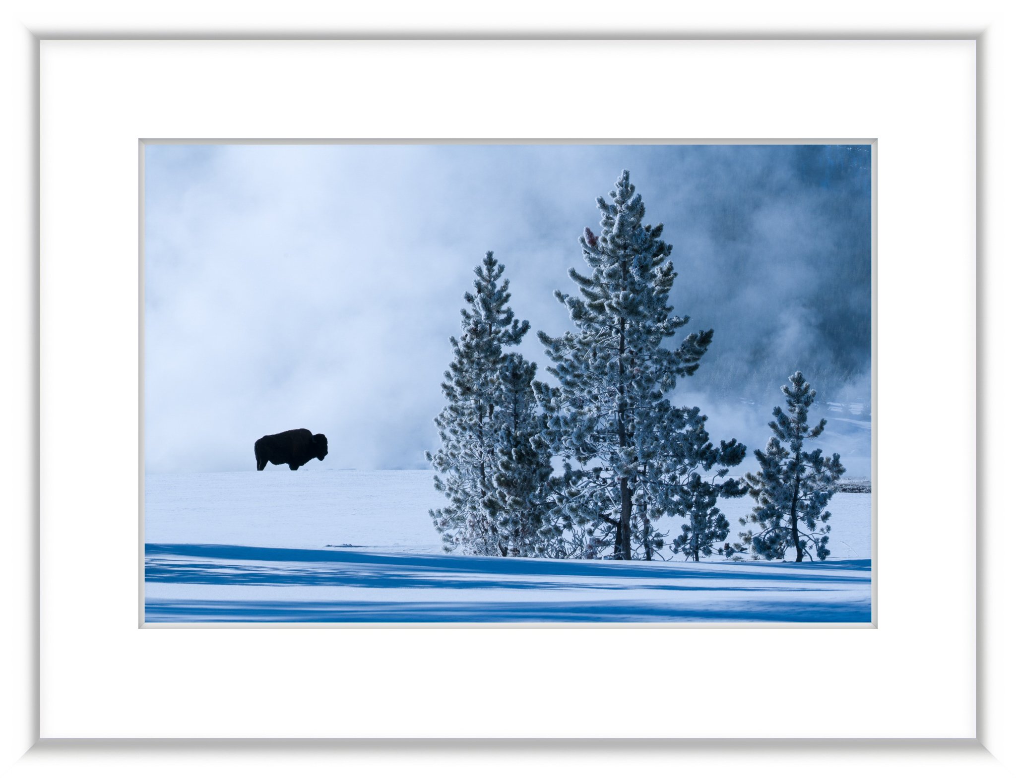 _DSC0381-Edit-2-3.jpg
