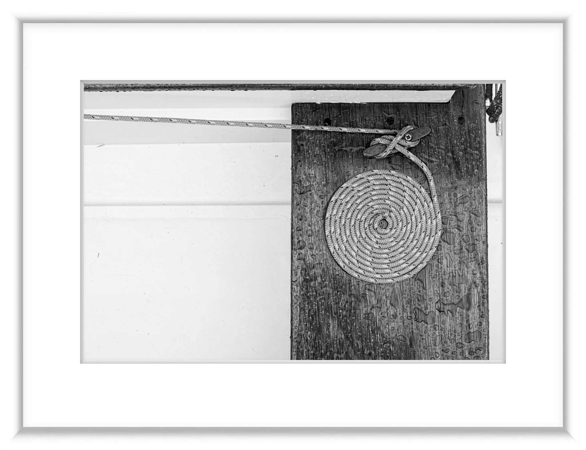 MSC-D850-CapeCod-Aug2021-5936-Edit.jpg