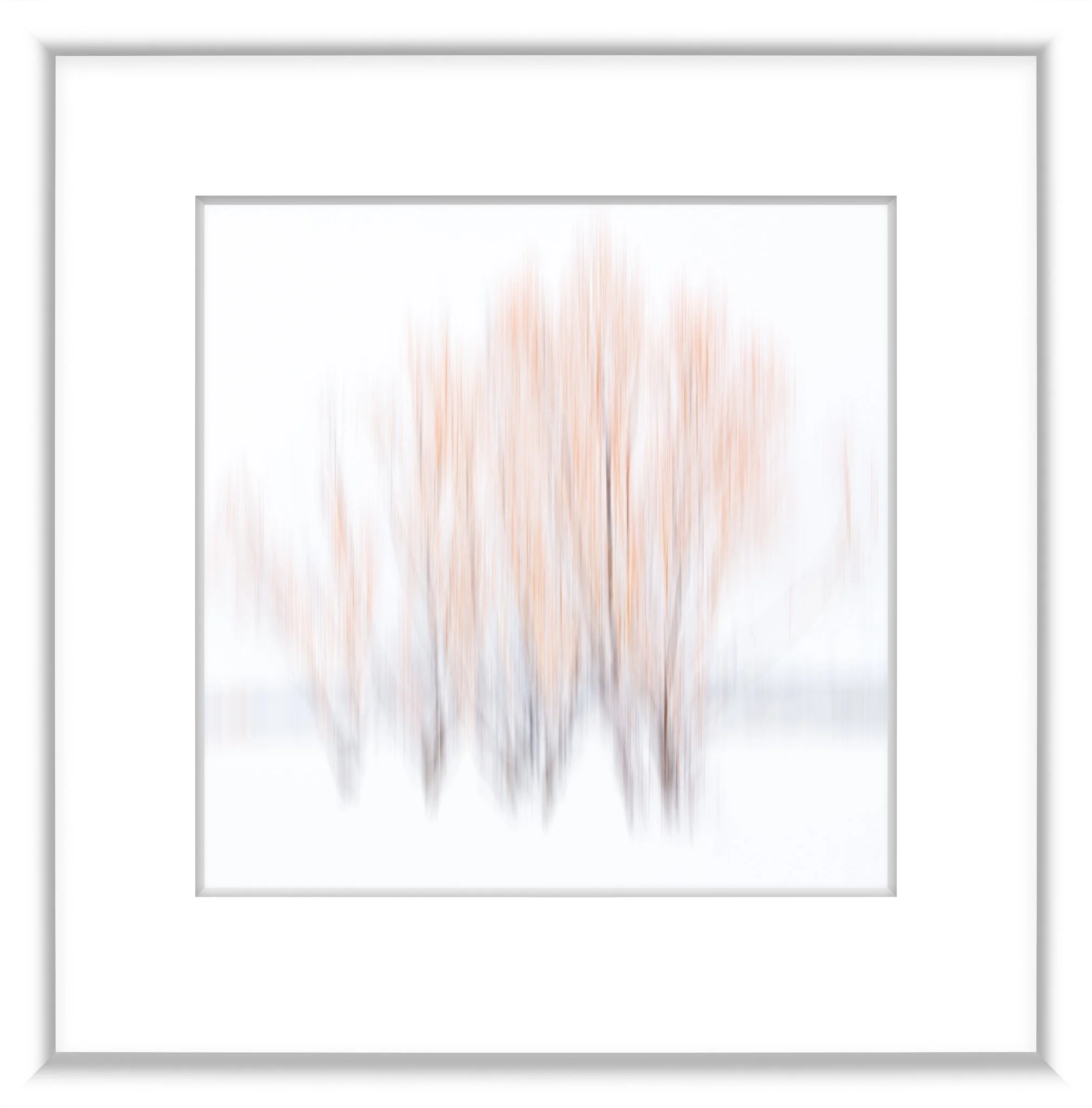 MSC-D850-JH-Jan2019-4322-Edit.jpg