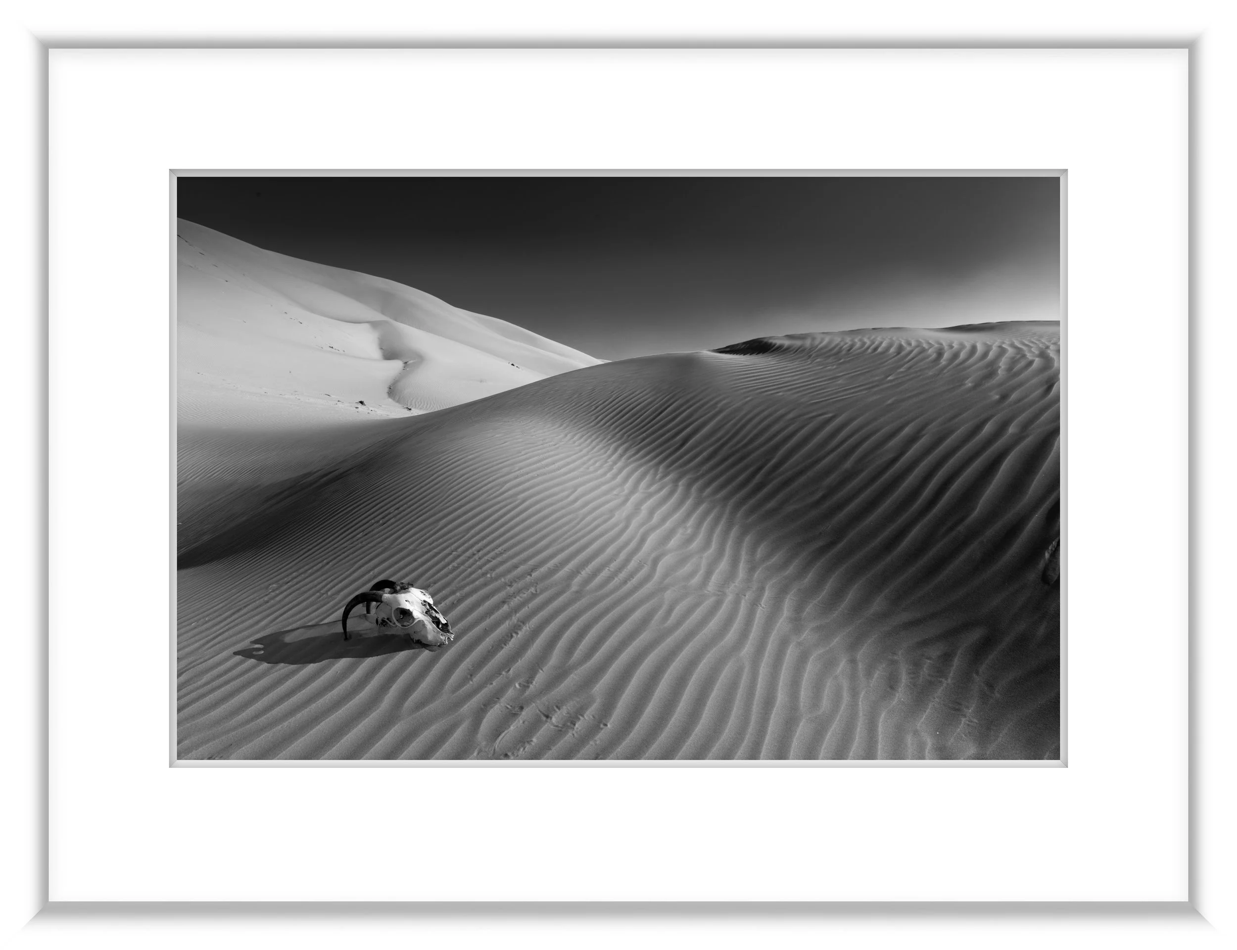 MSC-D850-Oman-Oct2018-2408-Edit.jpg