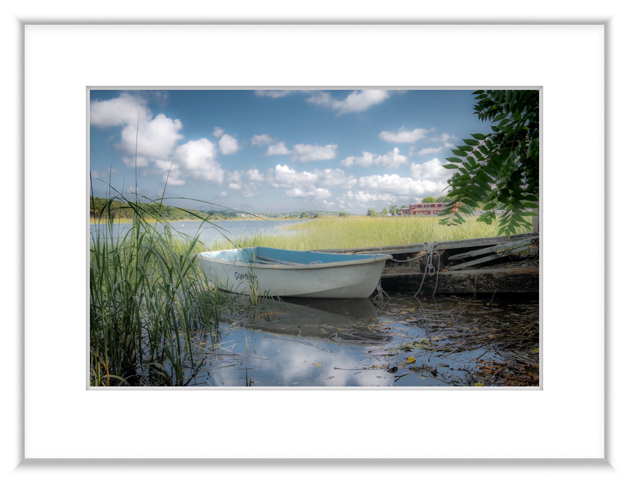 MSC-D850-CapeCod-July2021-5857-HDR.jpg
