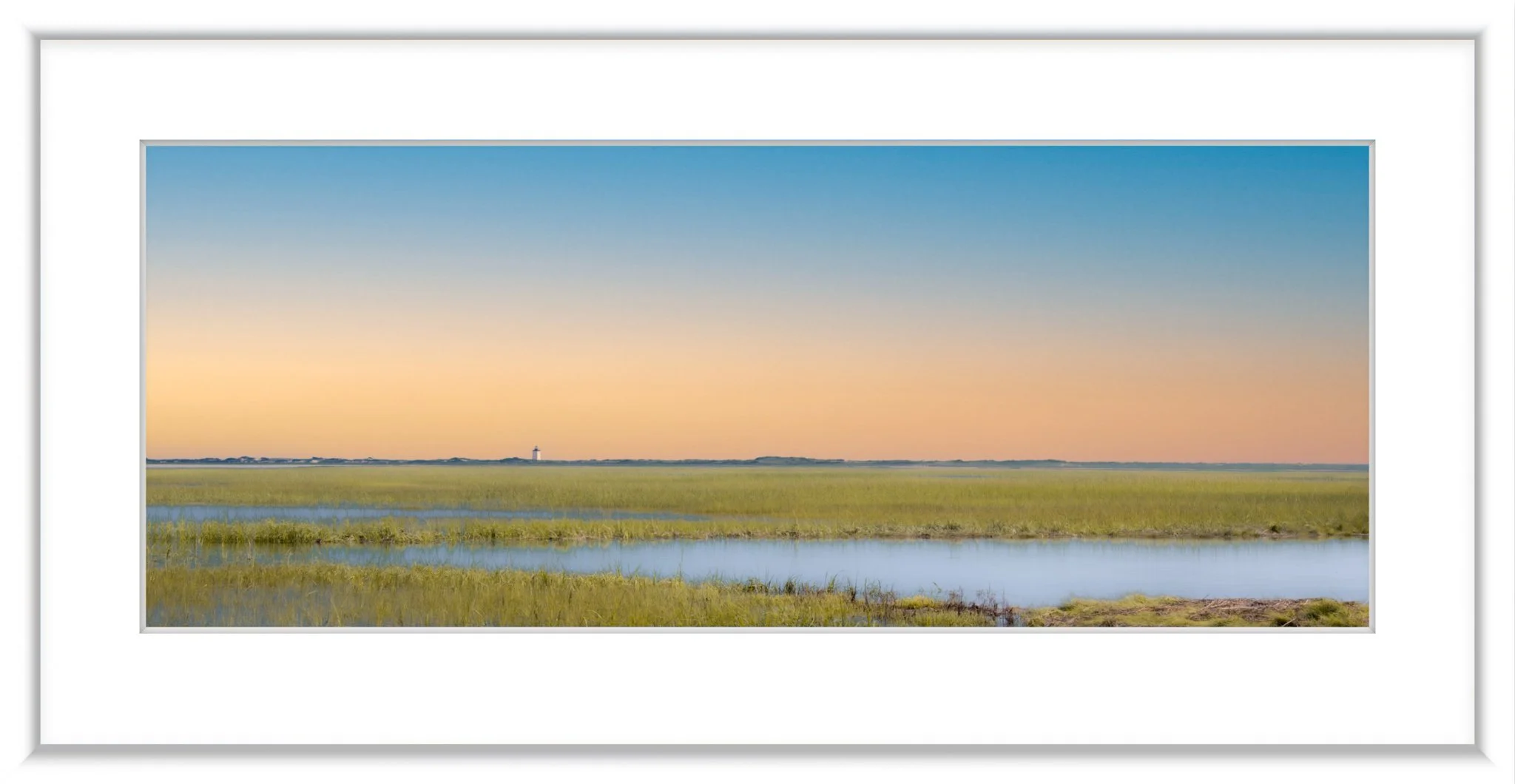 MSC-D850-CapeCod-July2021-5747-Edit.jpg