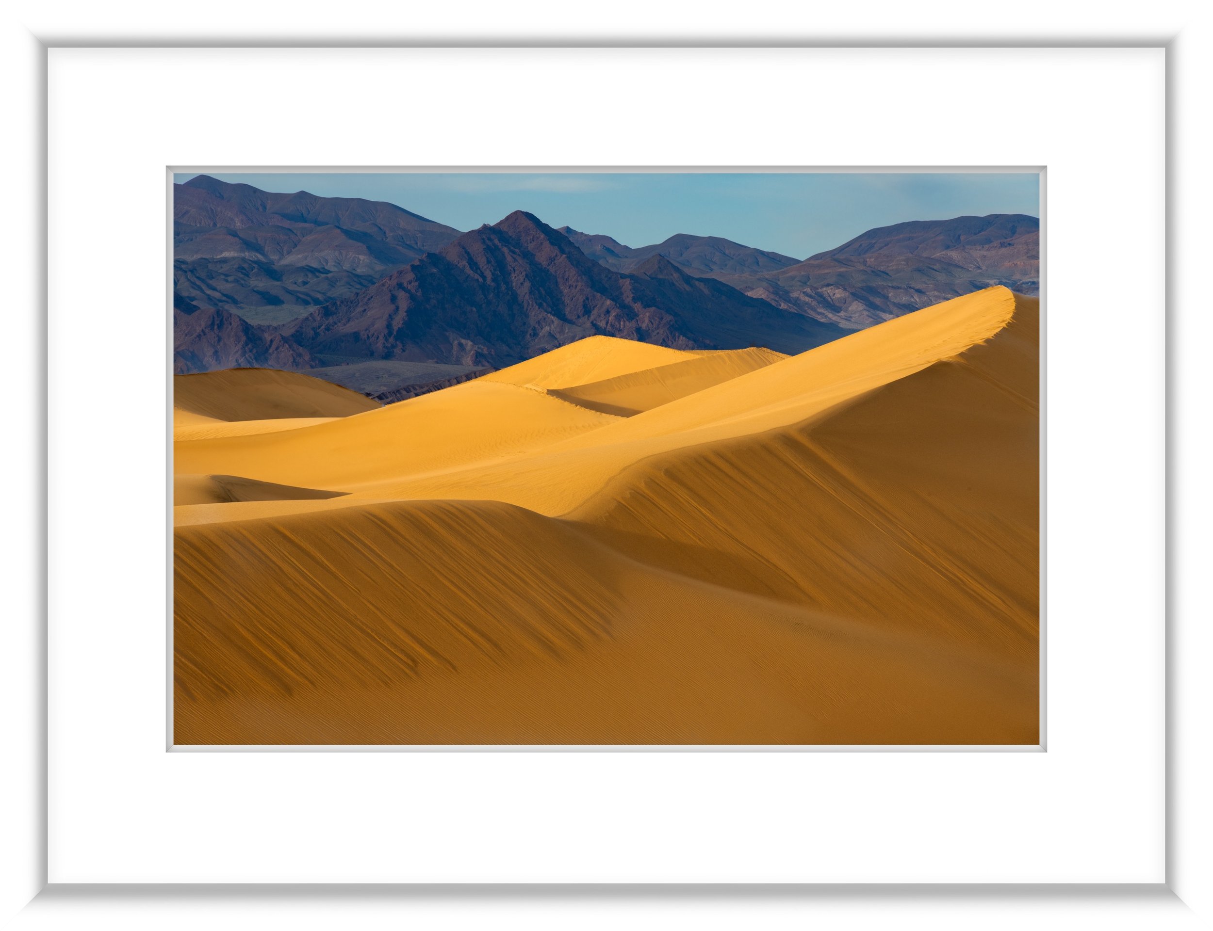 MSC-D850-NatlParks-April2023-9671.jpg