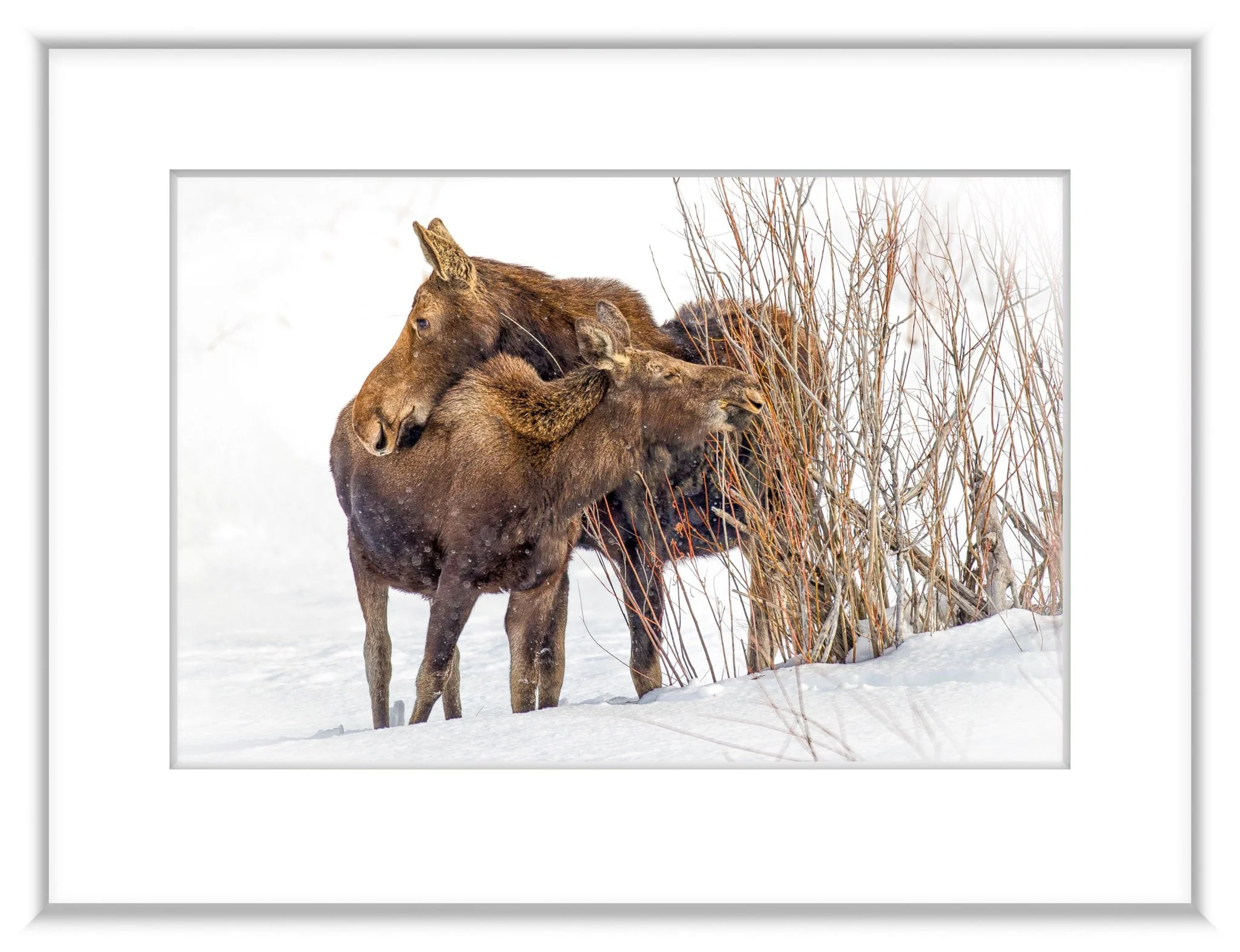 _DSC3530-Edit.jpg