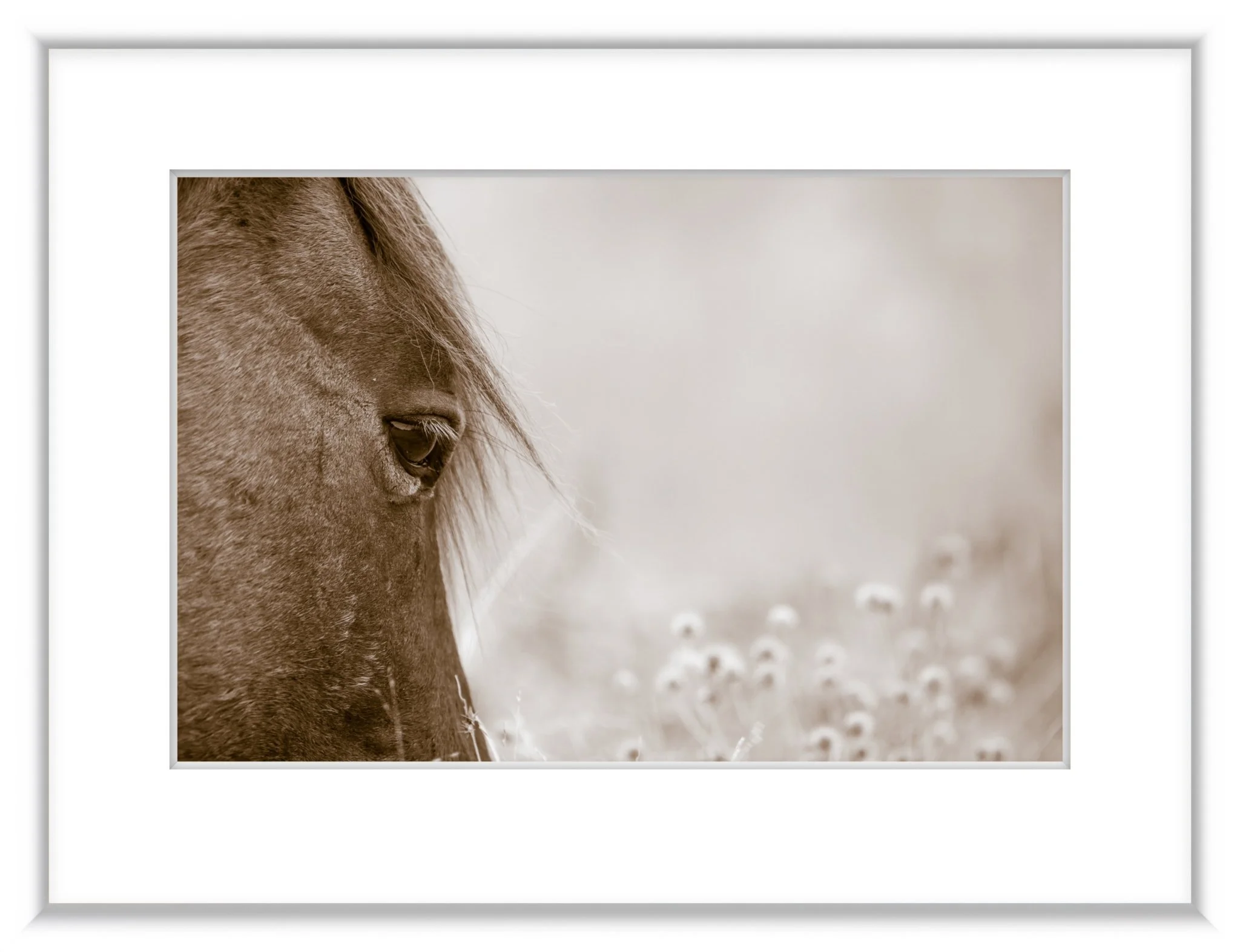 JHFramed (19 of 43).jpg