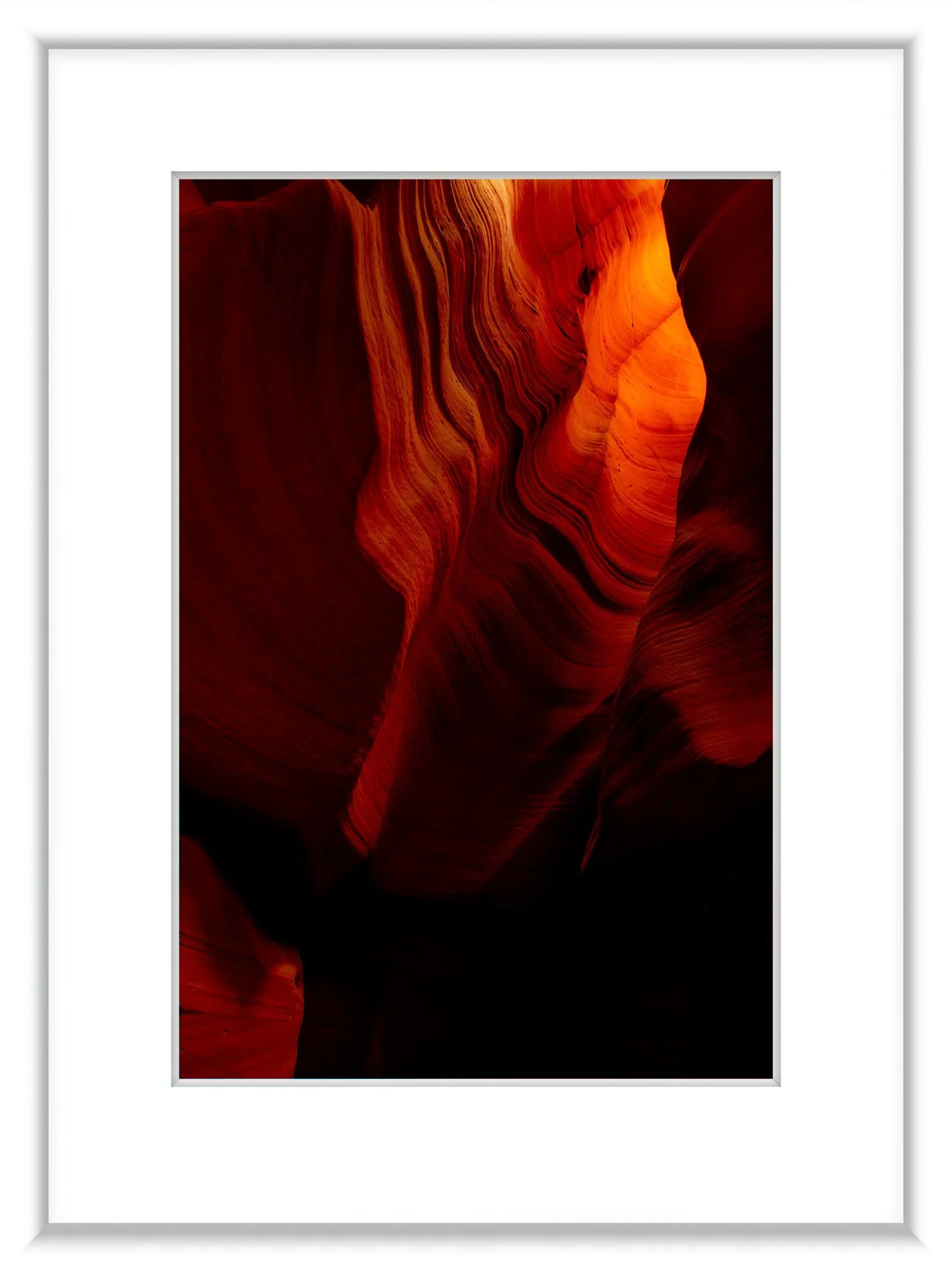 MSC-D850-NatlParks-April2023-0575.jpg