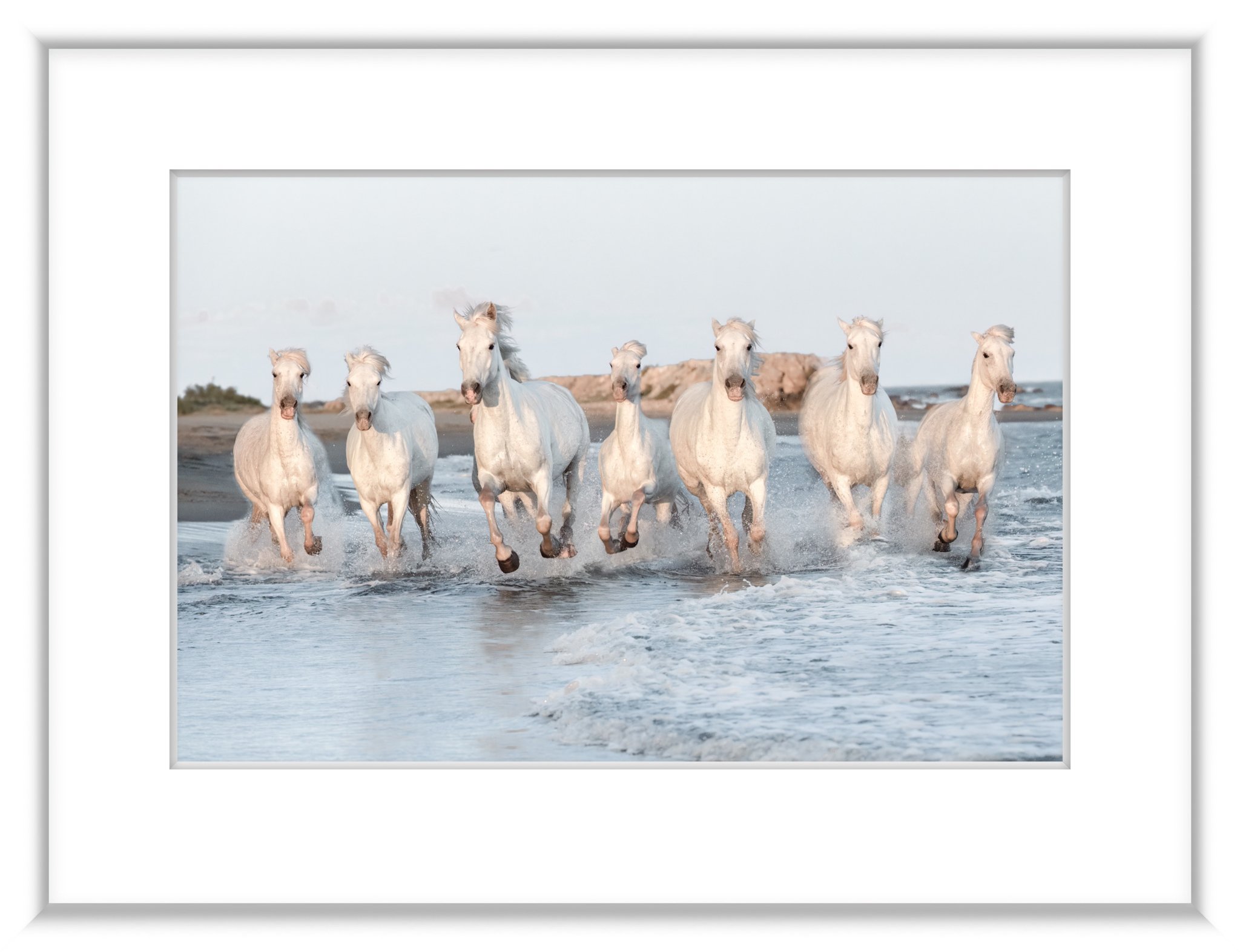 MSC-D850-Camargue-May2023-4223-Edit-Edit-Edit.jpg