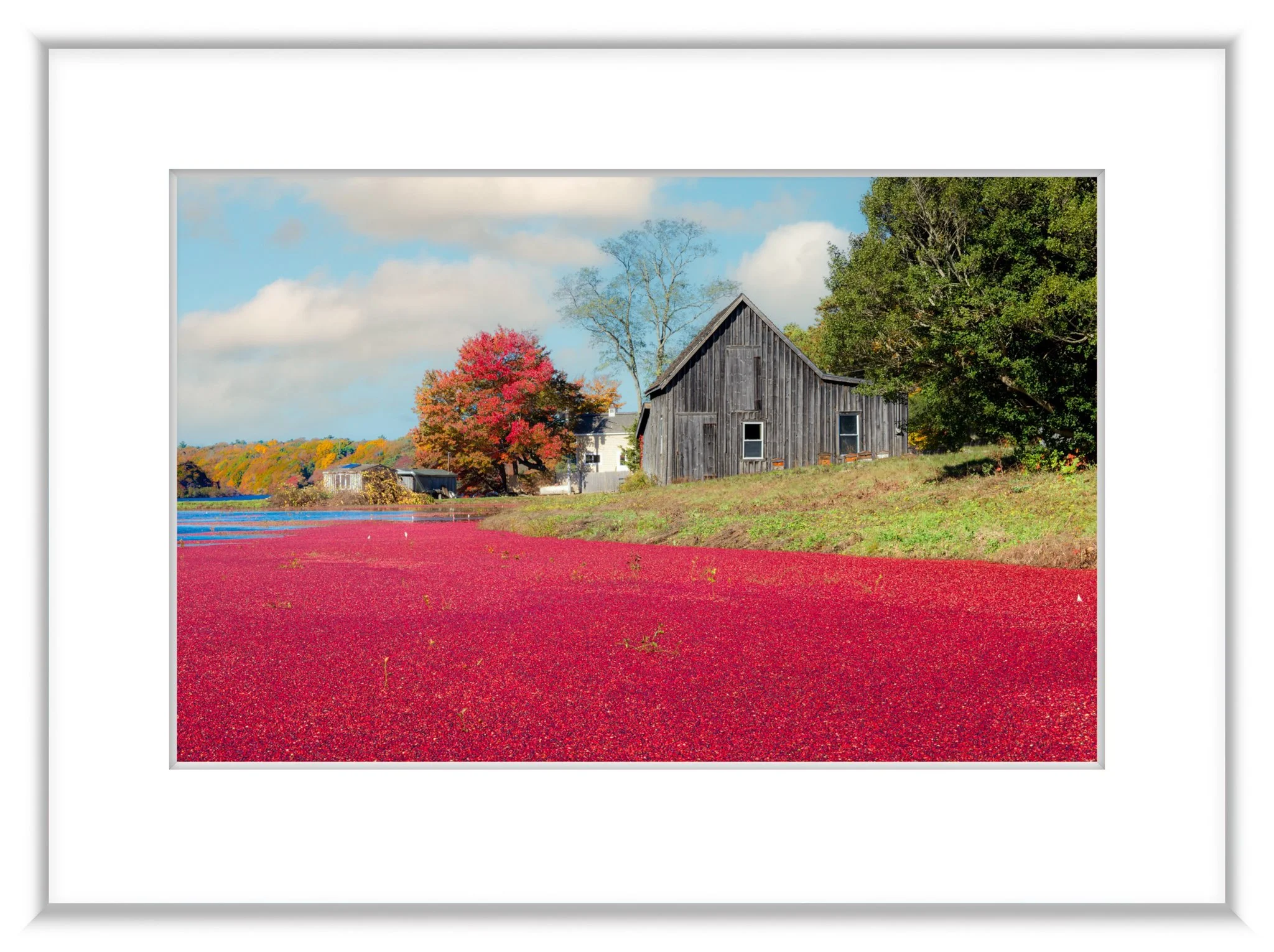 MSC-D850-CapeCod-Oct2022-8544-Edit-2.jpg